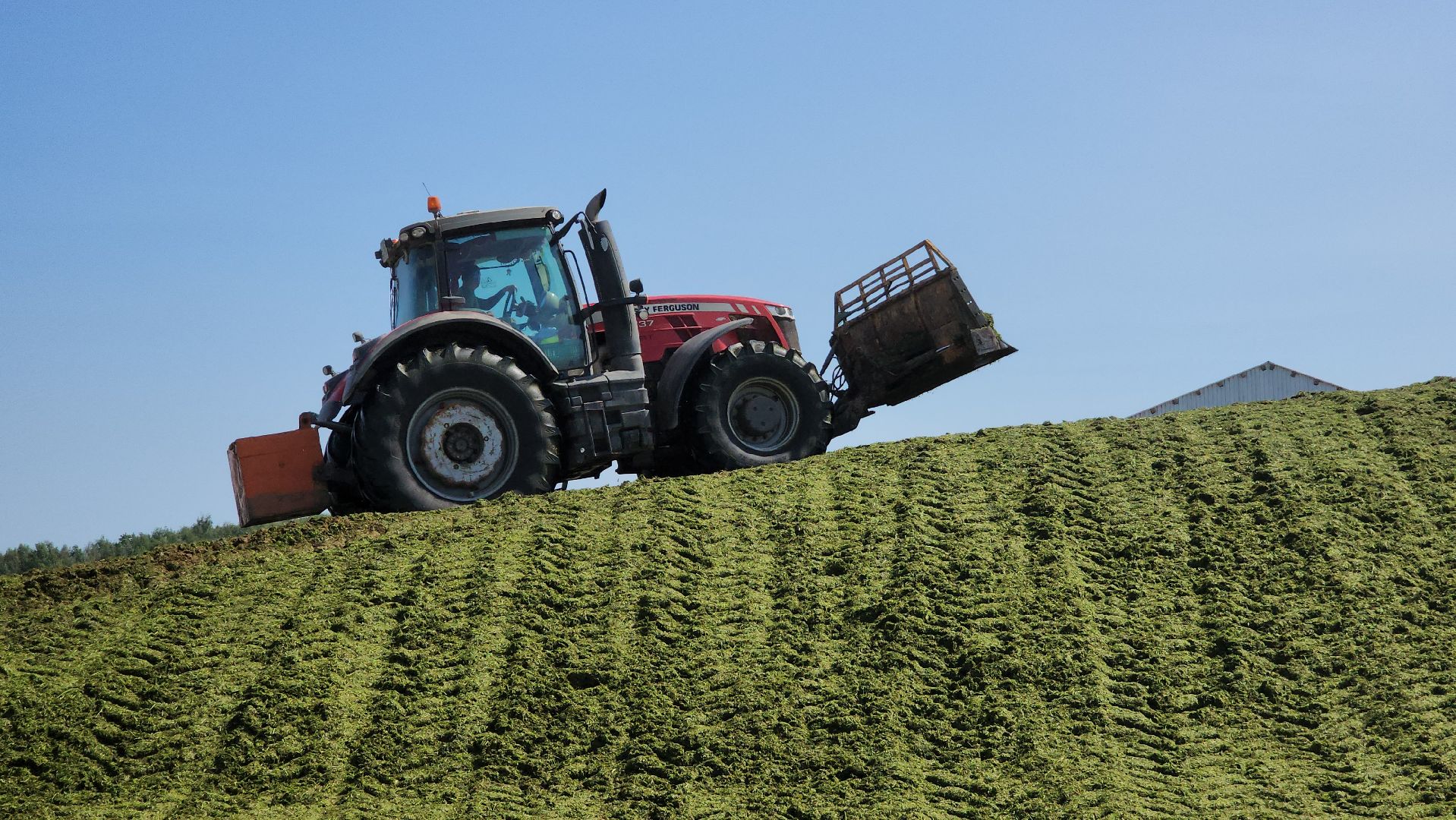 ступино, сельское хозяйство, заготовка кормов,