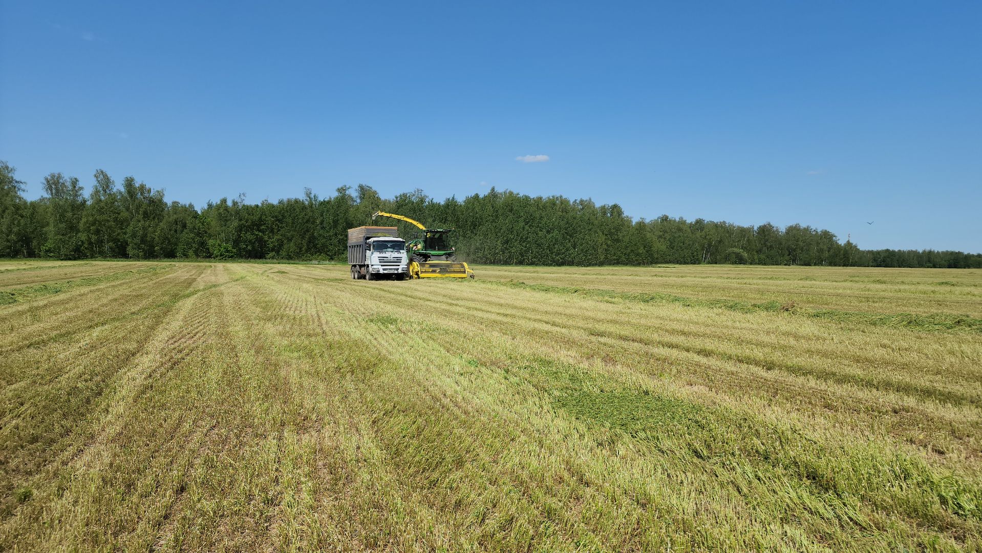 ступино, сельское хозяйство, заготовка кормов,