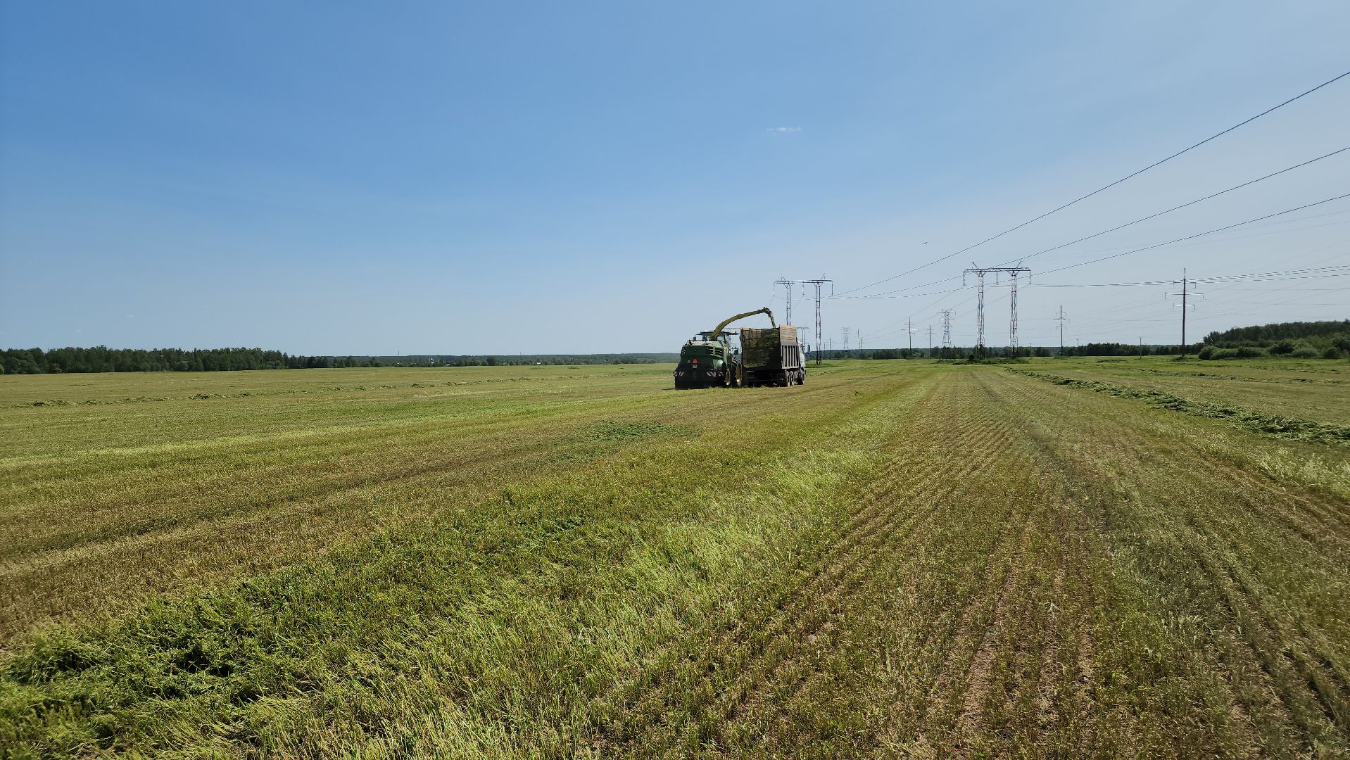 ступино, сельское хозяйство, заготовка кормов,