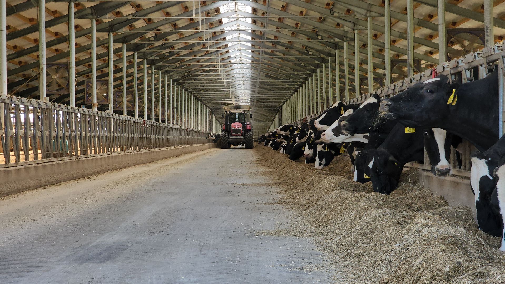 ступино, сельское хозяйство, заготовка кормов,