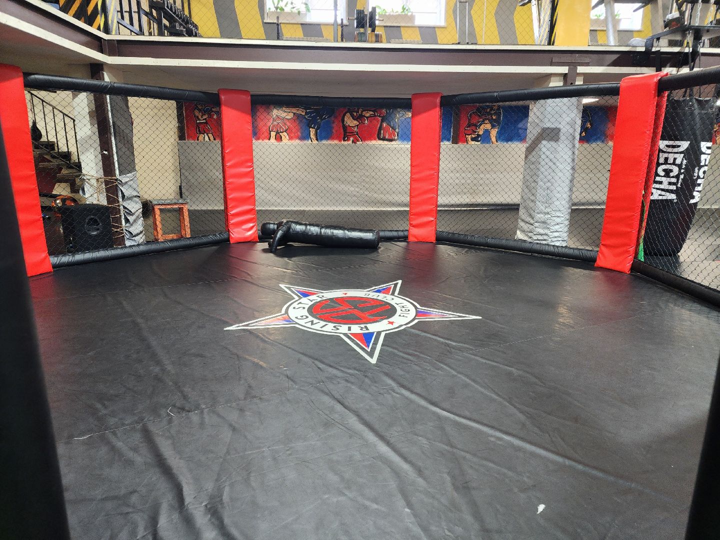 сергиев посад, мма, смешанные единоборства, rising star, кудрявцев михаил,