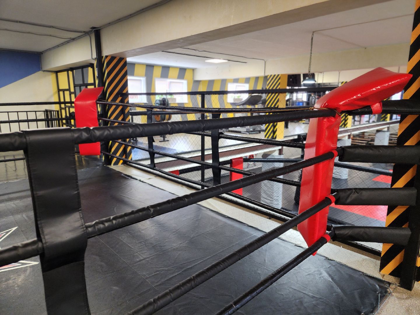 сергиев посад, мма, смешанные единоборства, rising star, кудрявцев михаил,