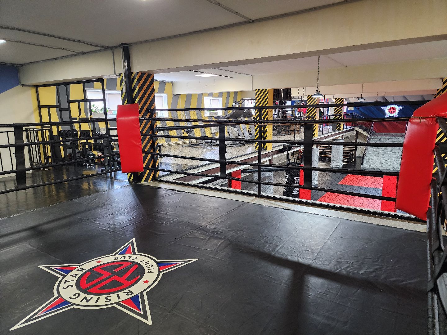 сергиев посад, мма, смешанные единоборства, rising star, кудрявцев михаил,