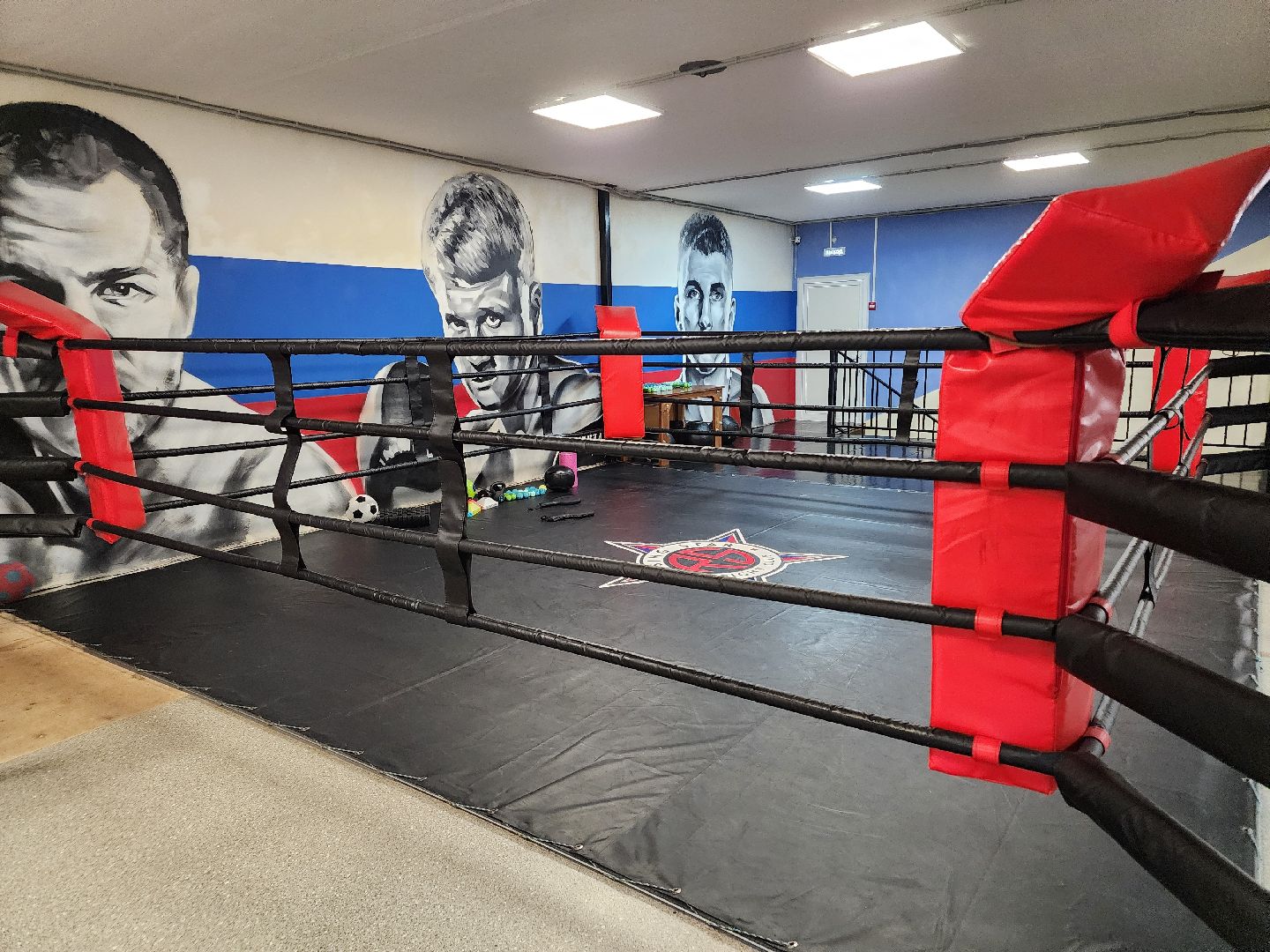 сергиев посад, мма, смешанные единоборства, rising star, кудрявцев михаил,