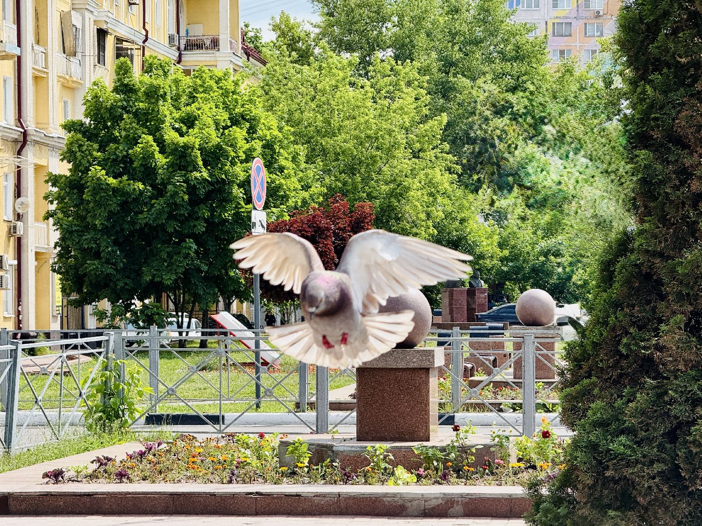 раменское, благоустройство, клумбы, цветы,