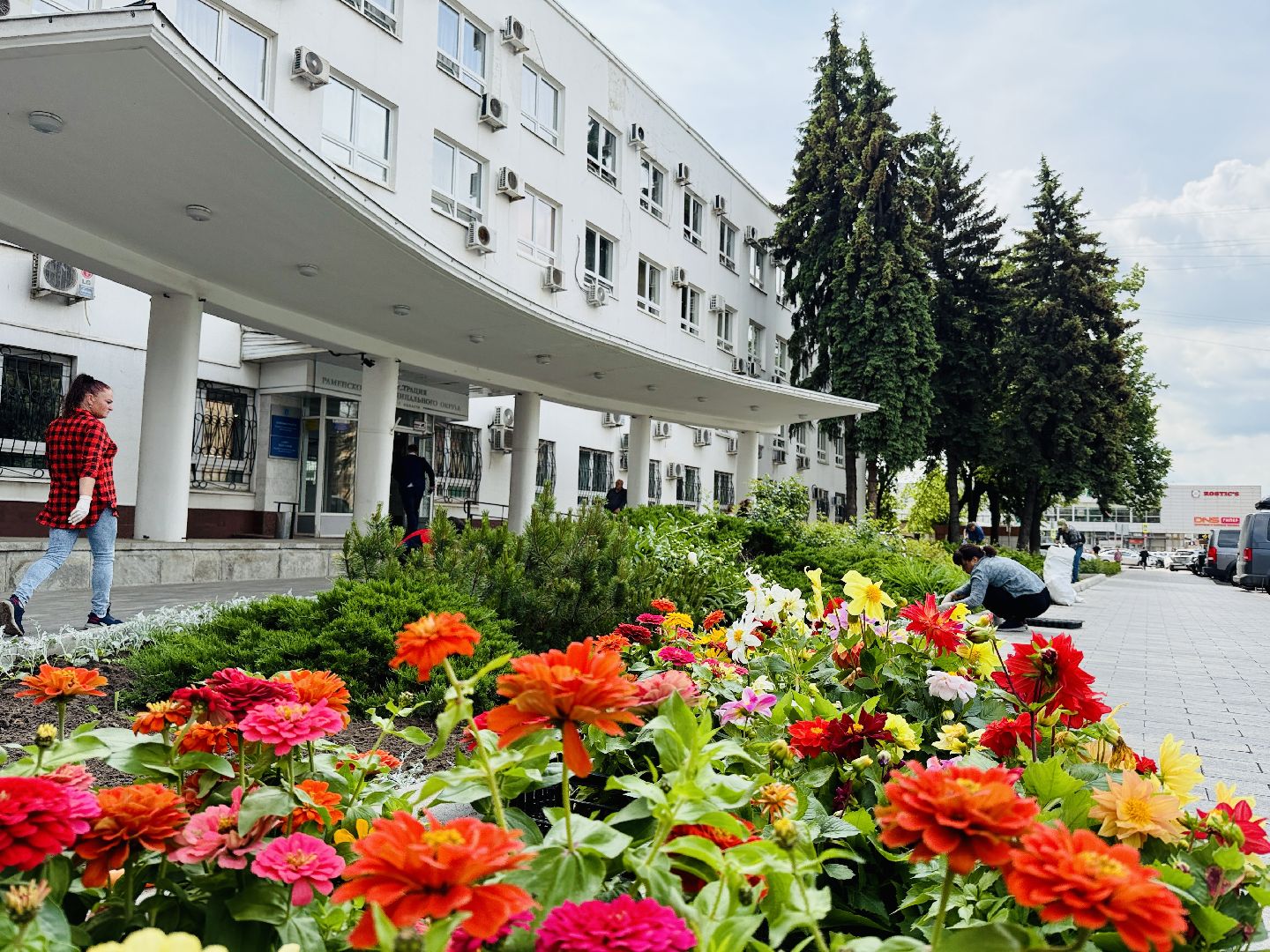 раменское, благоустройство, клумбы, цветы,