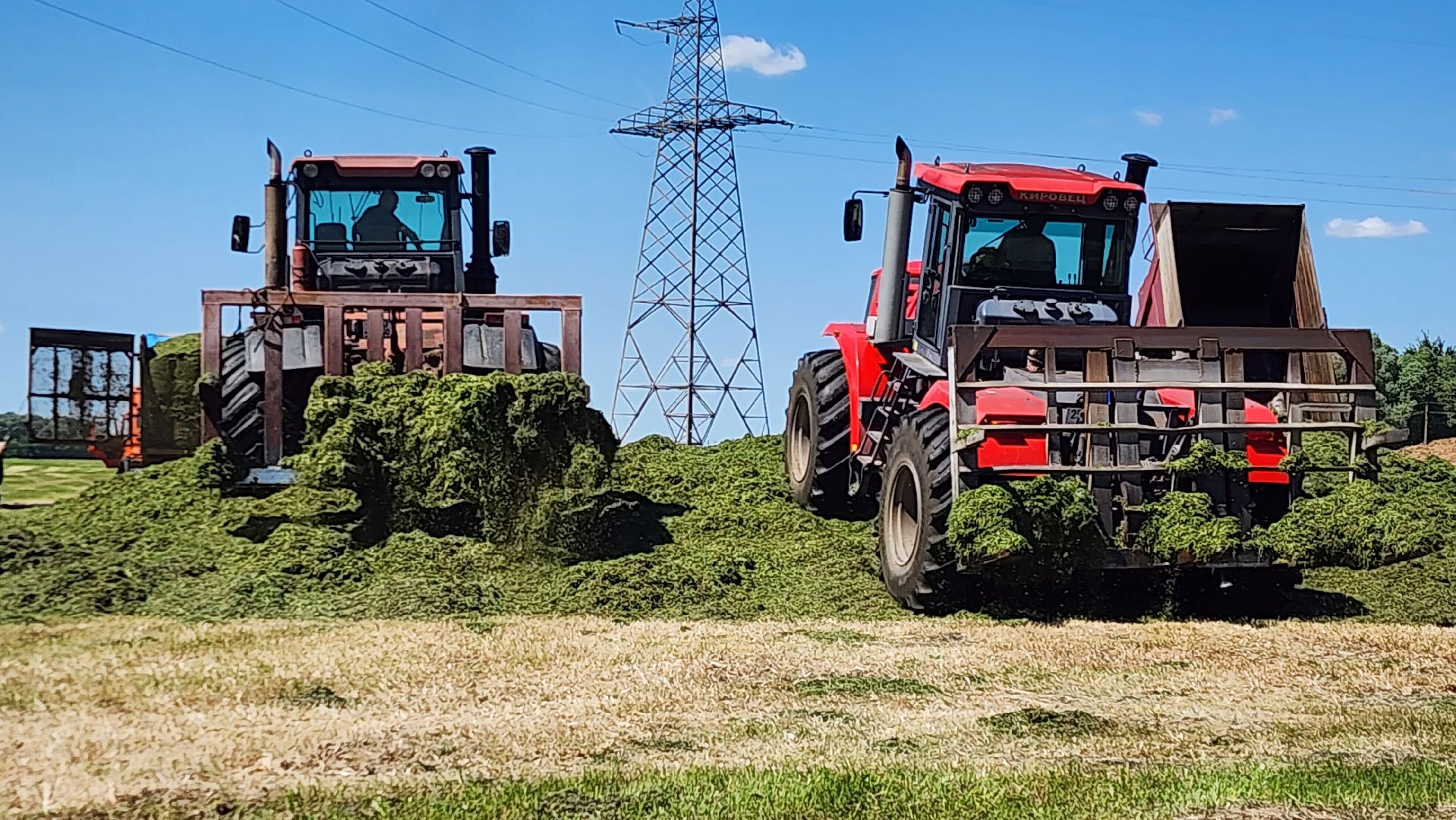ПлемзаводПойма #СельскоеХозяйство ,