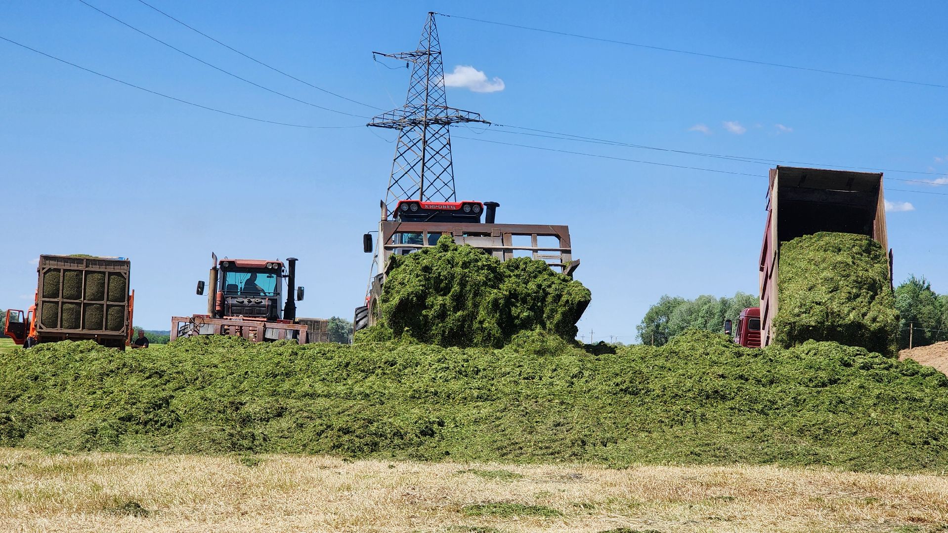 ПлемзаводПойма #СельскоеХозяйство ,