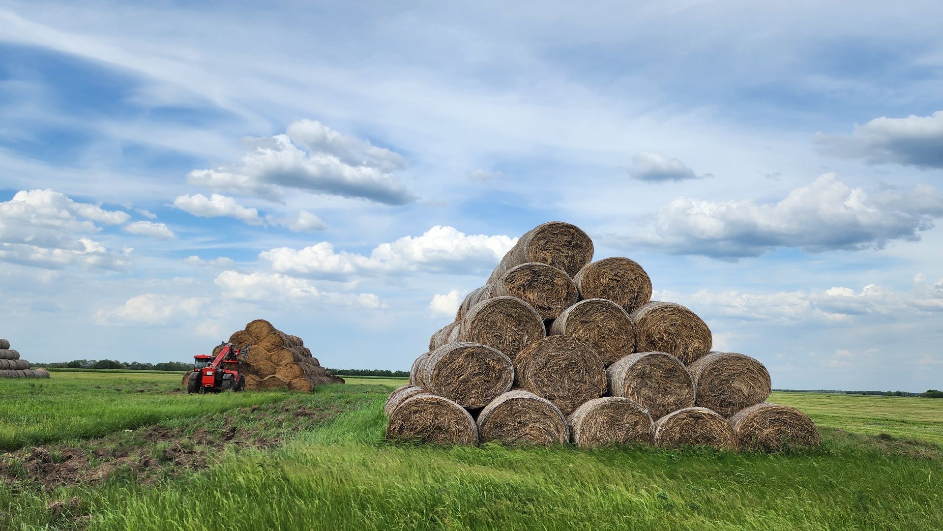ПлемзаводПойма #СельскоеХозяйство ,