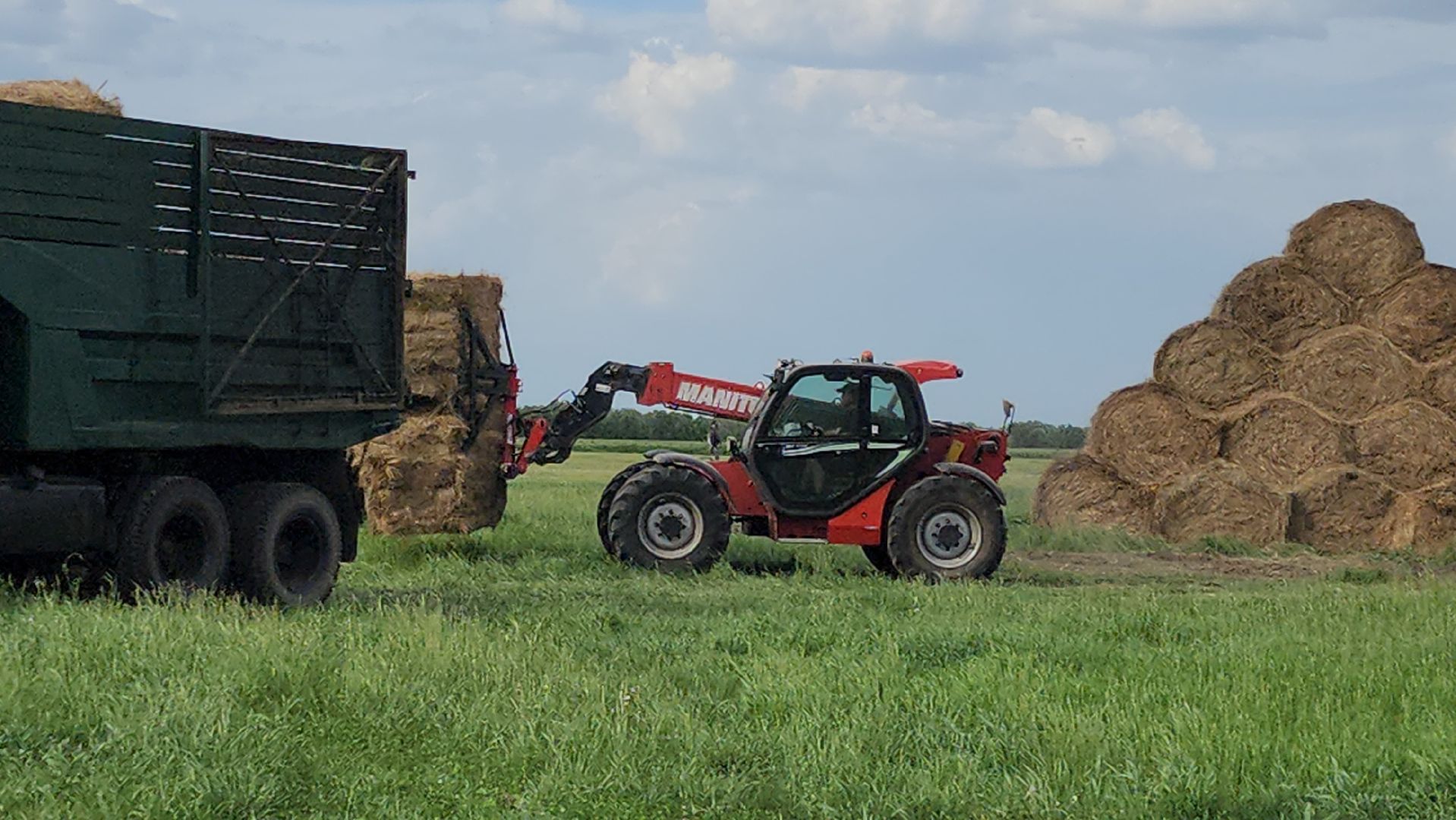 ПлемзаводПойма #СельскоеХозяйство ,