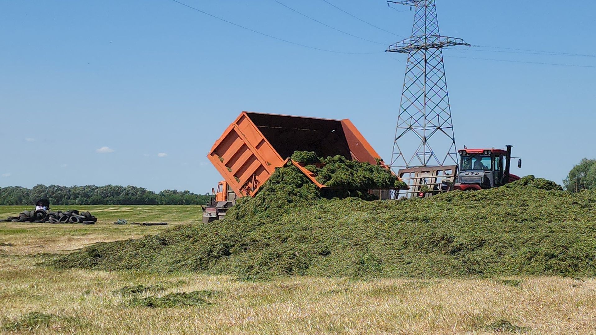 ПлемзаводПойма #СельскоеХозяйство ,