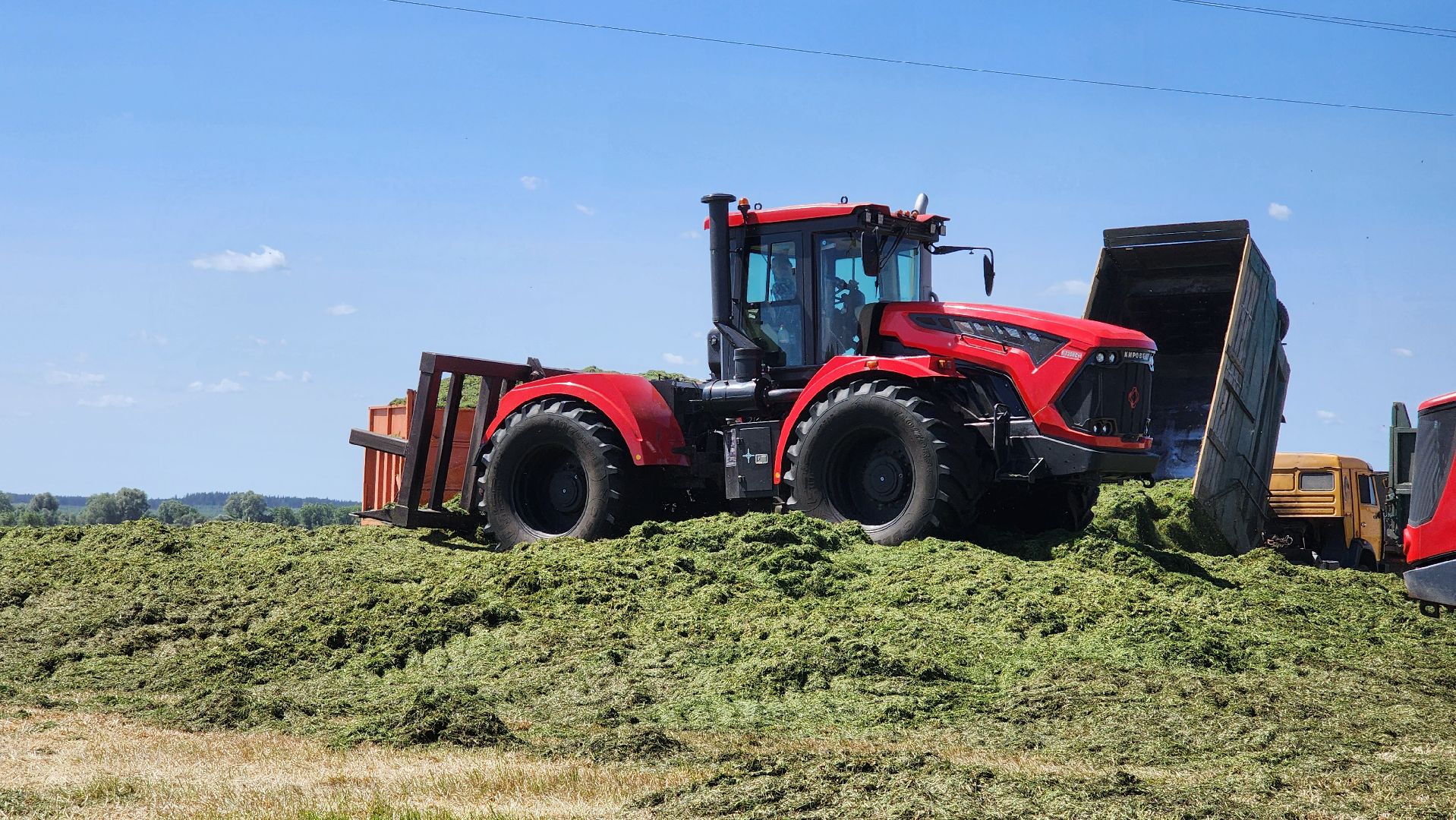 ПлемзаводПойма #СельскоеХозяйство ,