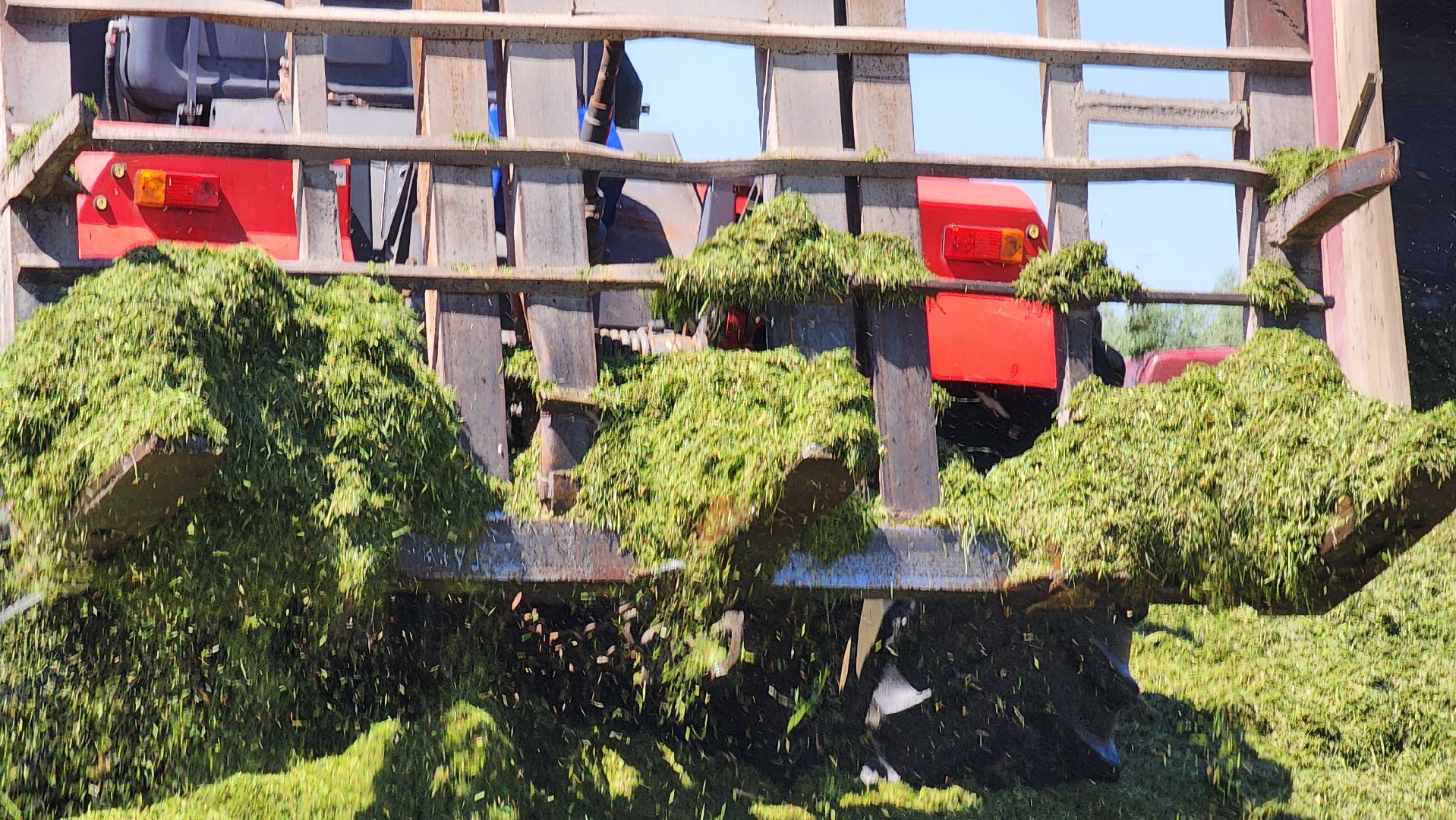 ПлемзаводПойма #СельскоеХозяйство ,