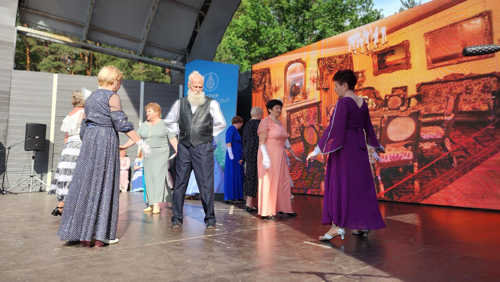 домодедедово, подмосковье, культура, активное долголетие, пушкин, пушкиниана, фетиваль, вальс, литература,