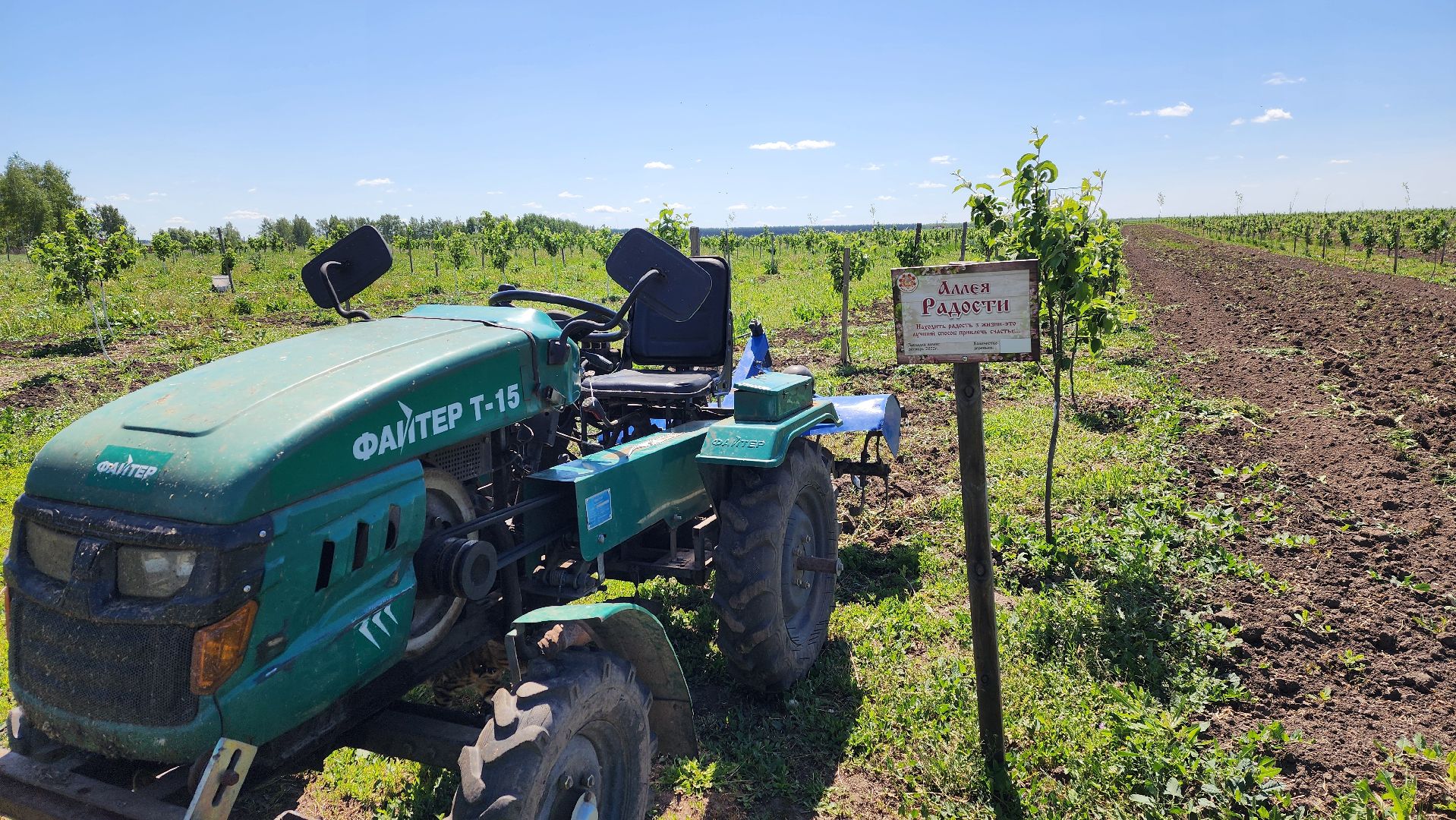 луховицы, яблоневый сад, сельское хозяйство, семейное дело, кфх богатырское,