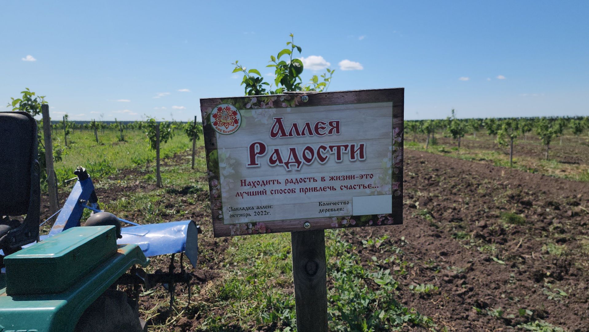 луховицы, яблоневый сад, сельское хозяйство, семейное дело, кфх богатырское,