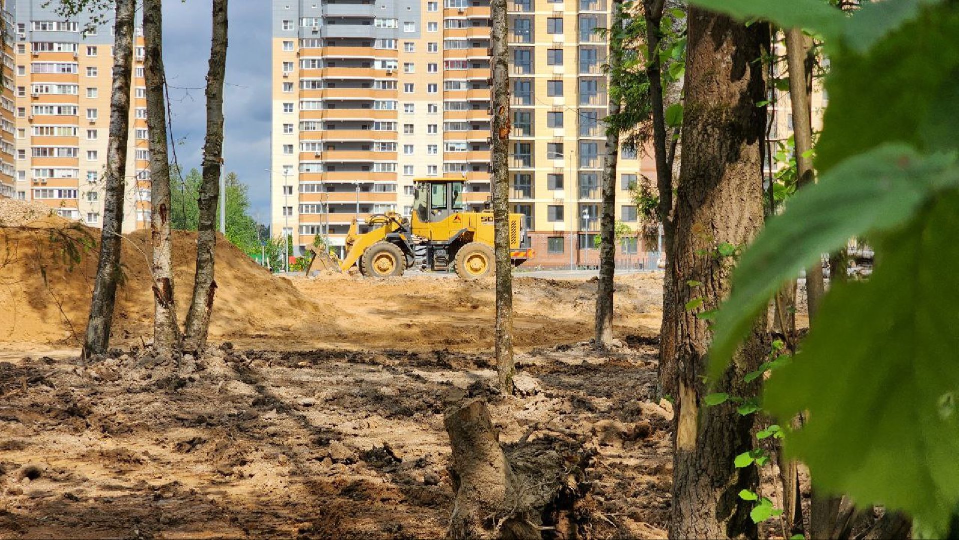 Дмитров, Некрасовский сквер, Благоустройство, Минблаго,Безопасный регион,