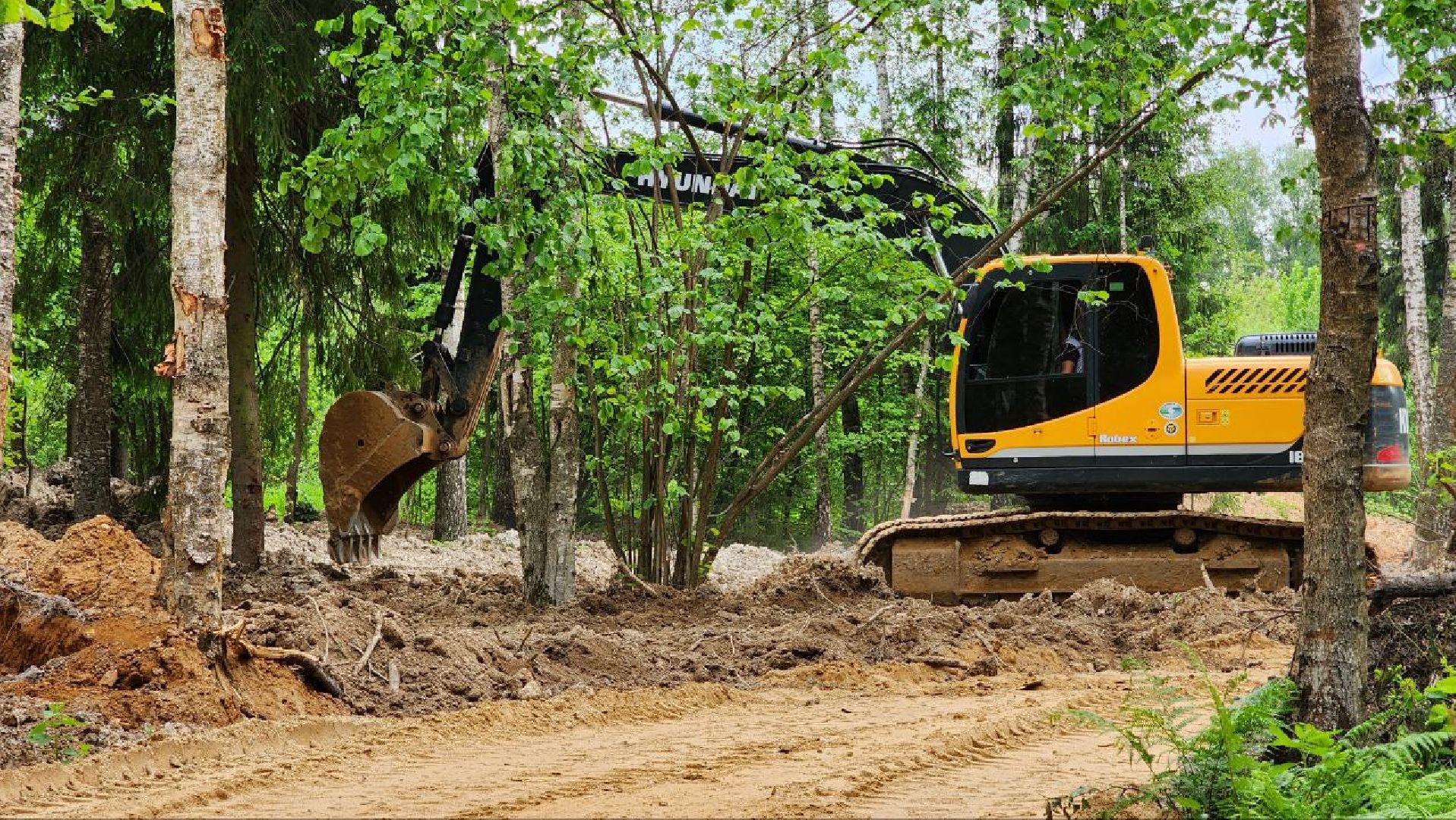 Дмитров, Некрасовский сквер, Благоустройство, Минблаго,Безопасный регион,