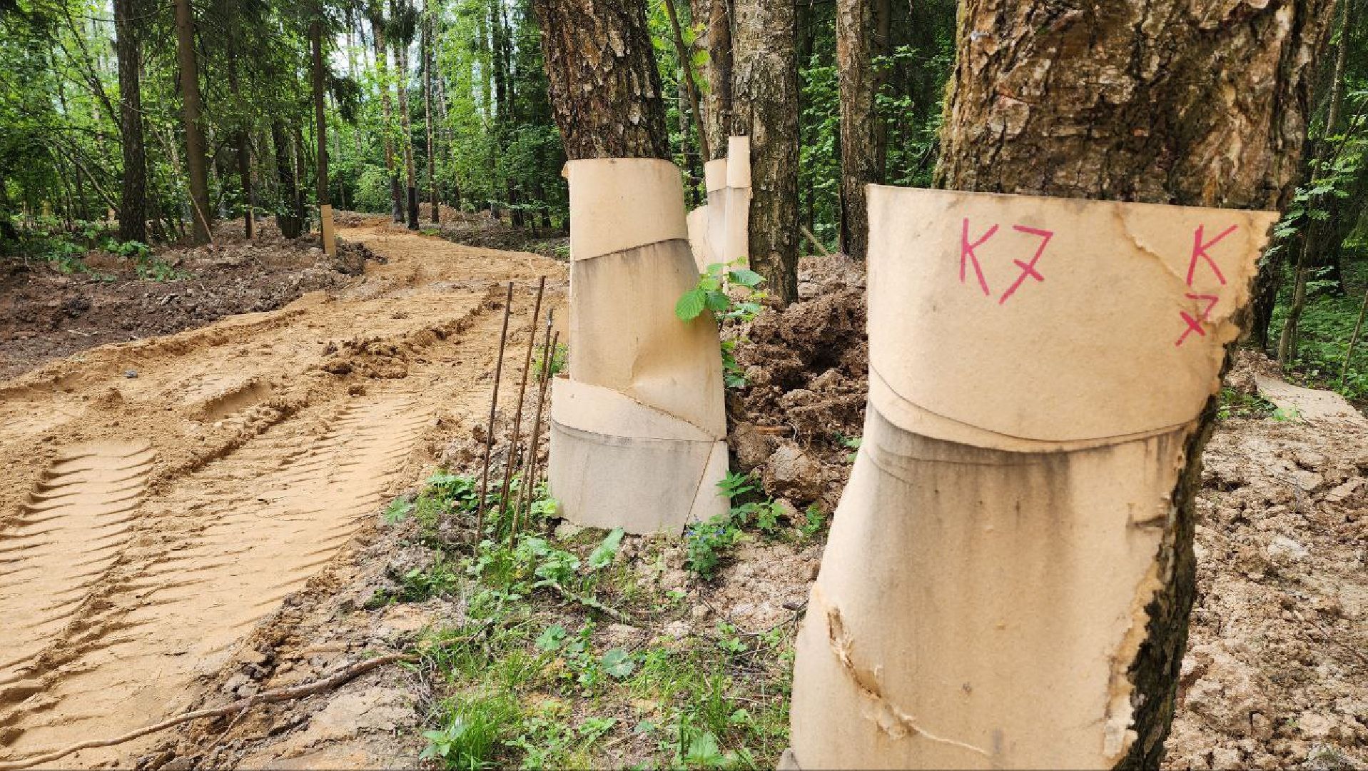 Дмитров, Некрасовский сквер, Благоустройство, Минблаго,Безопасный регион,