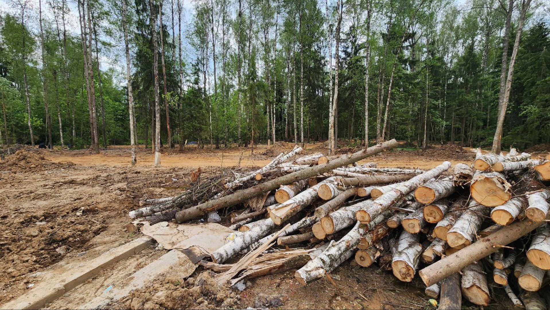 Дмитров, Некрасовский сквер, Благоустройство, Минблаго,Безопасный регион,