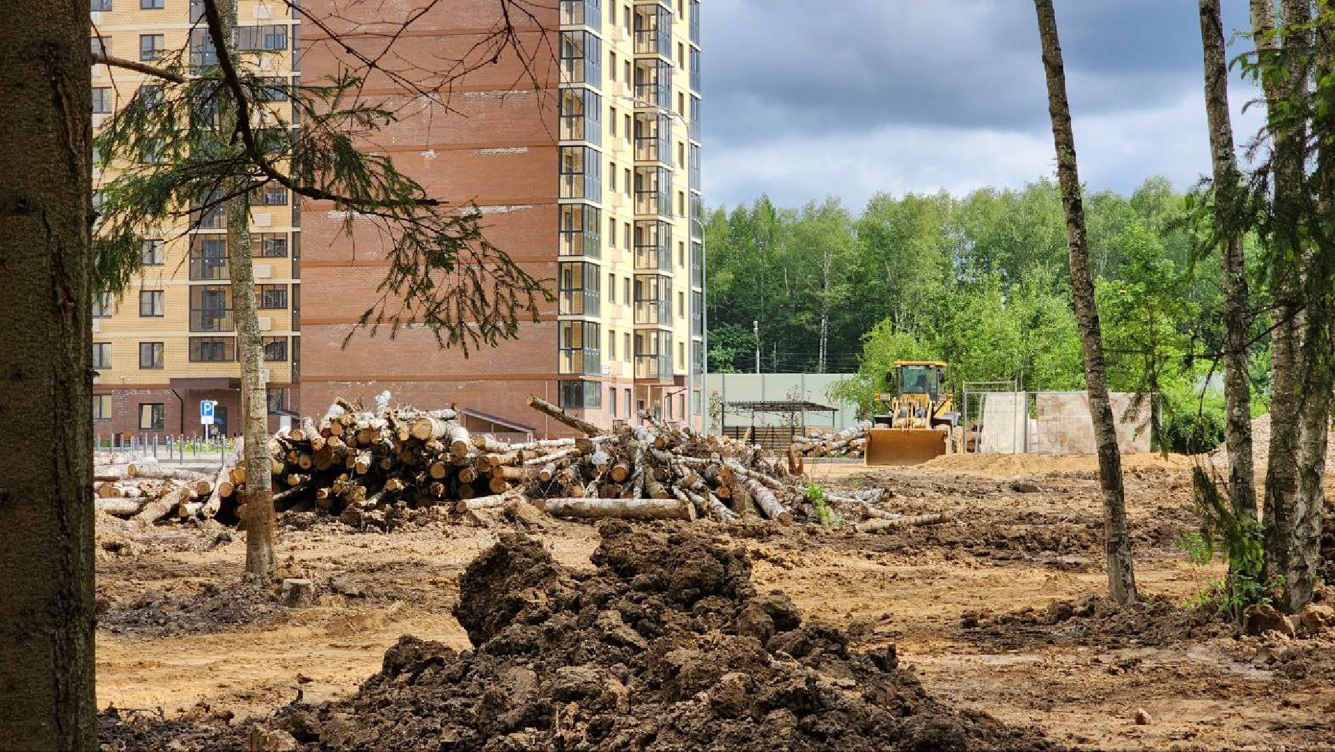 Дмитров, Некрасовский сквер, Благоустройство, Минблаго,Безопасный регион,