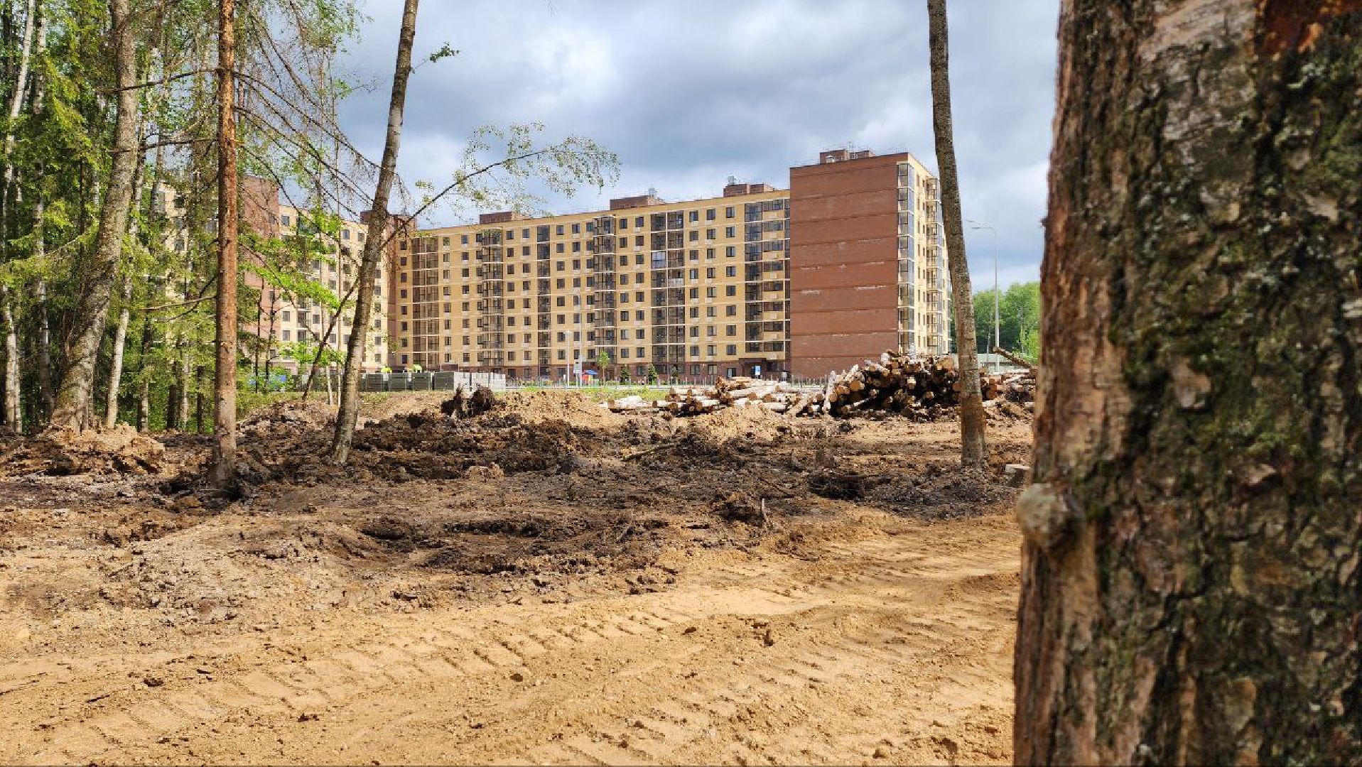 Дмитров, Некрасовский сквер, Благоустройство, Минблаго,Безопасный регион,
