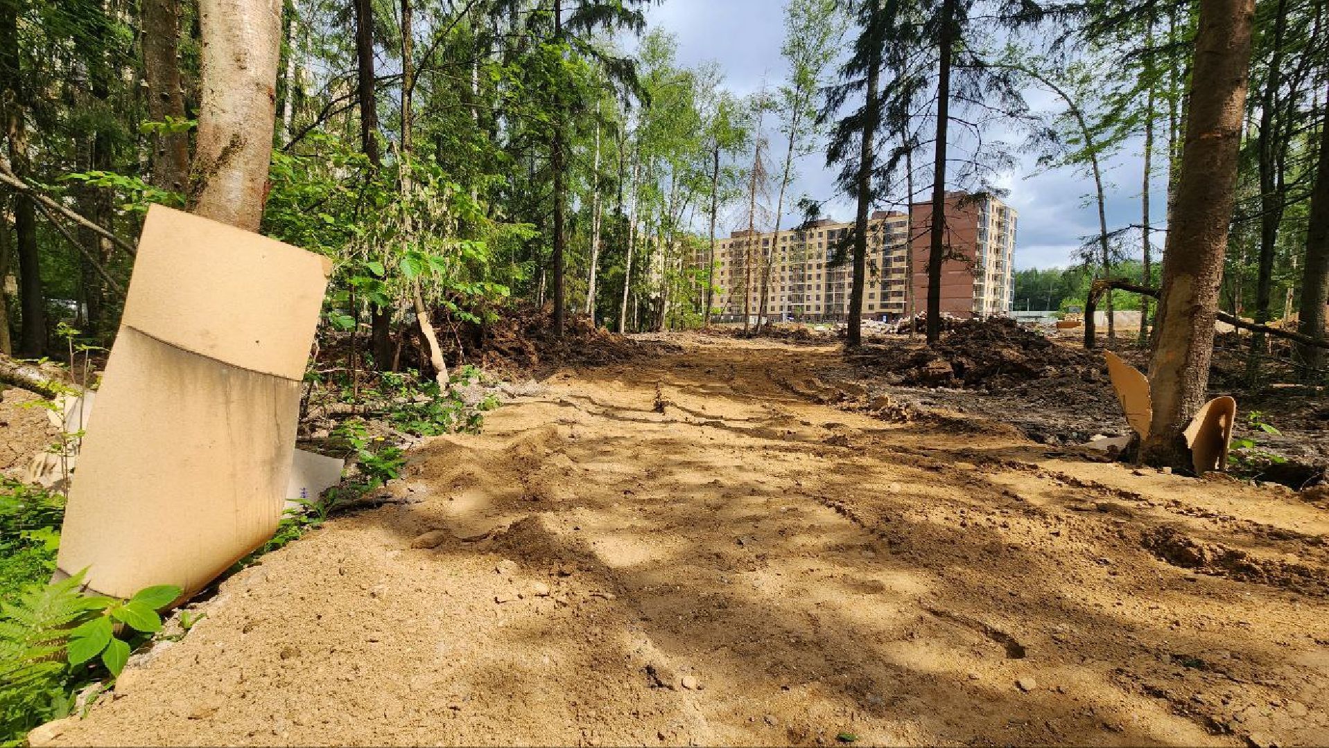 Дмитров, Некрасовский сквер, Благоустройство, Минблаго,Безопасный регион,