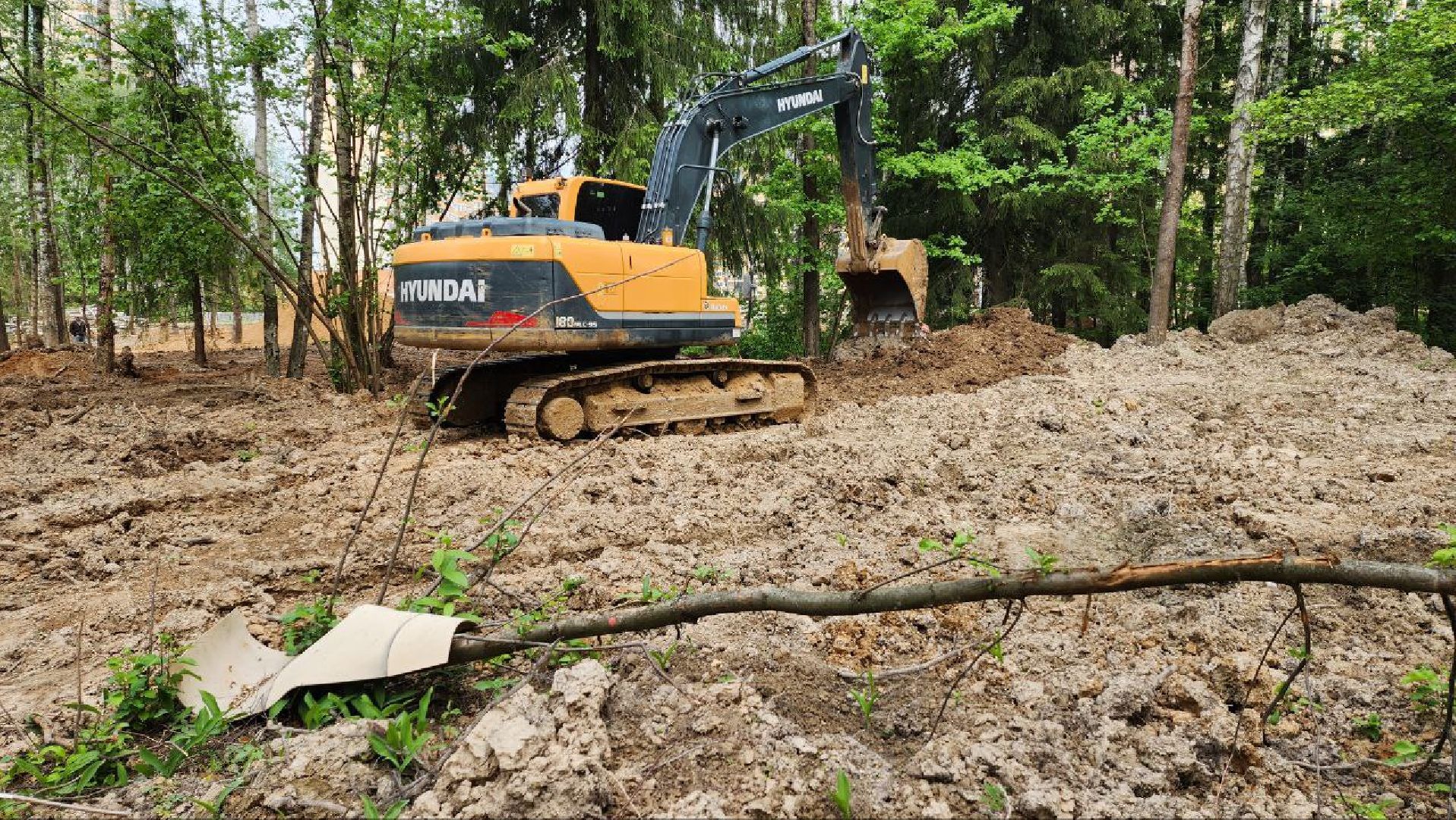 Дмитров, Некрасовский сквер, Благоустройство, Минблаго,Безопасный регион,