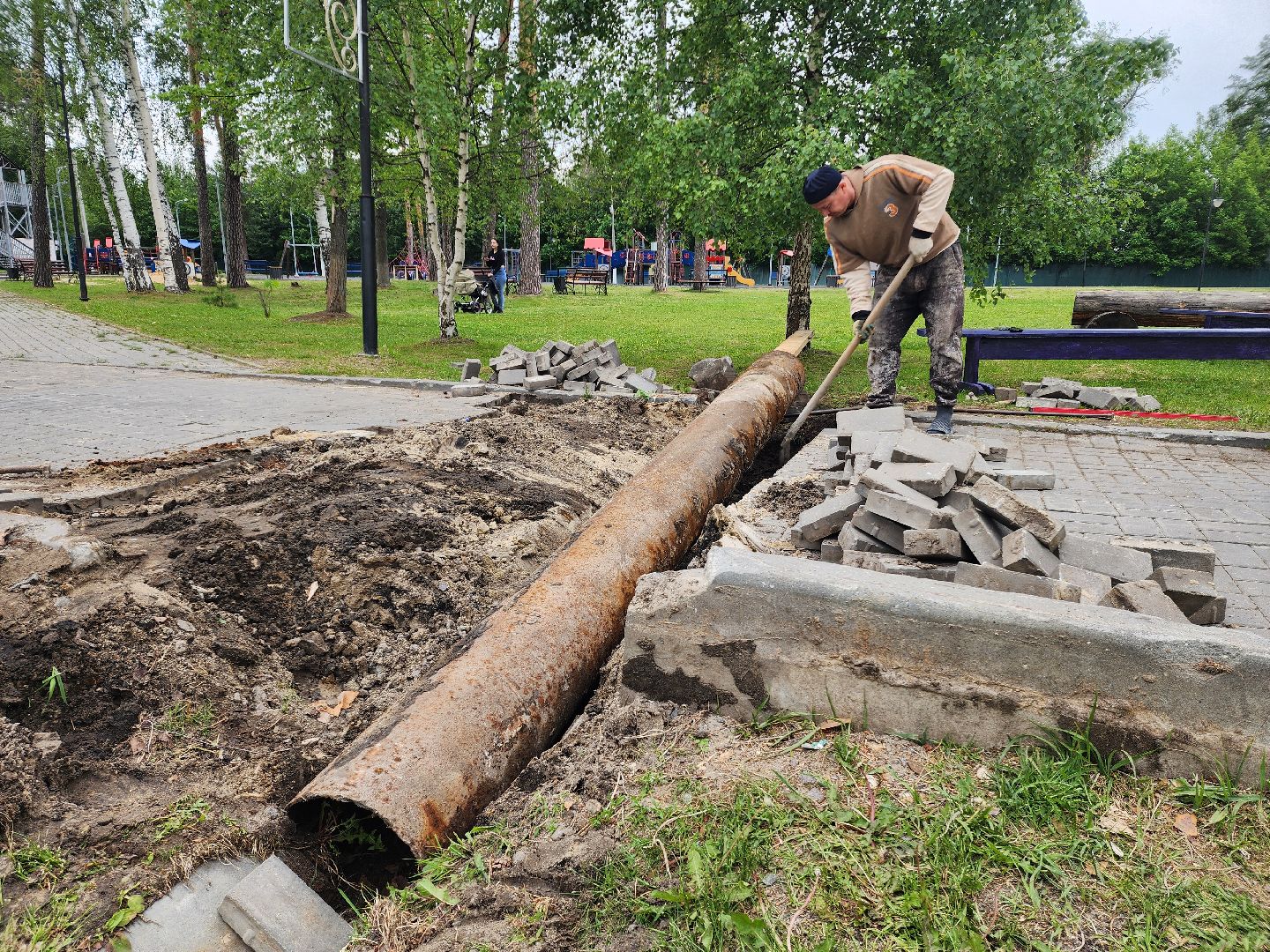 благоустройство 2025, шатура, шатурский парк, активный отдых, отдых в подмосковье, парки подмосковья, дирекция парков,