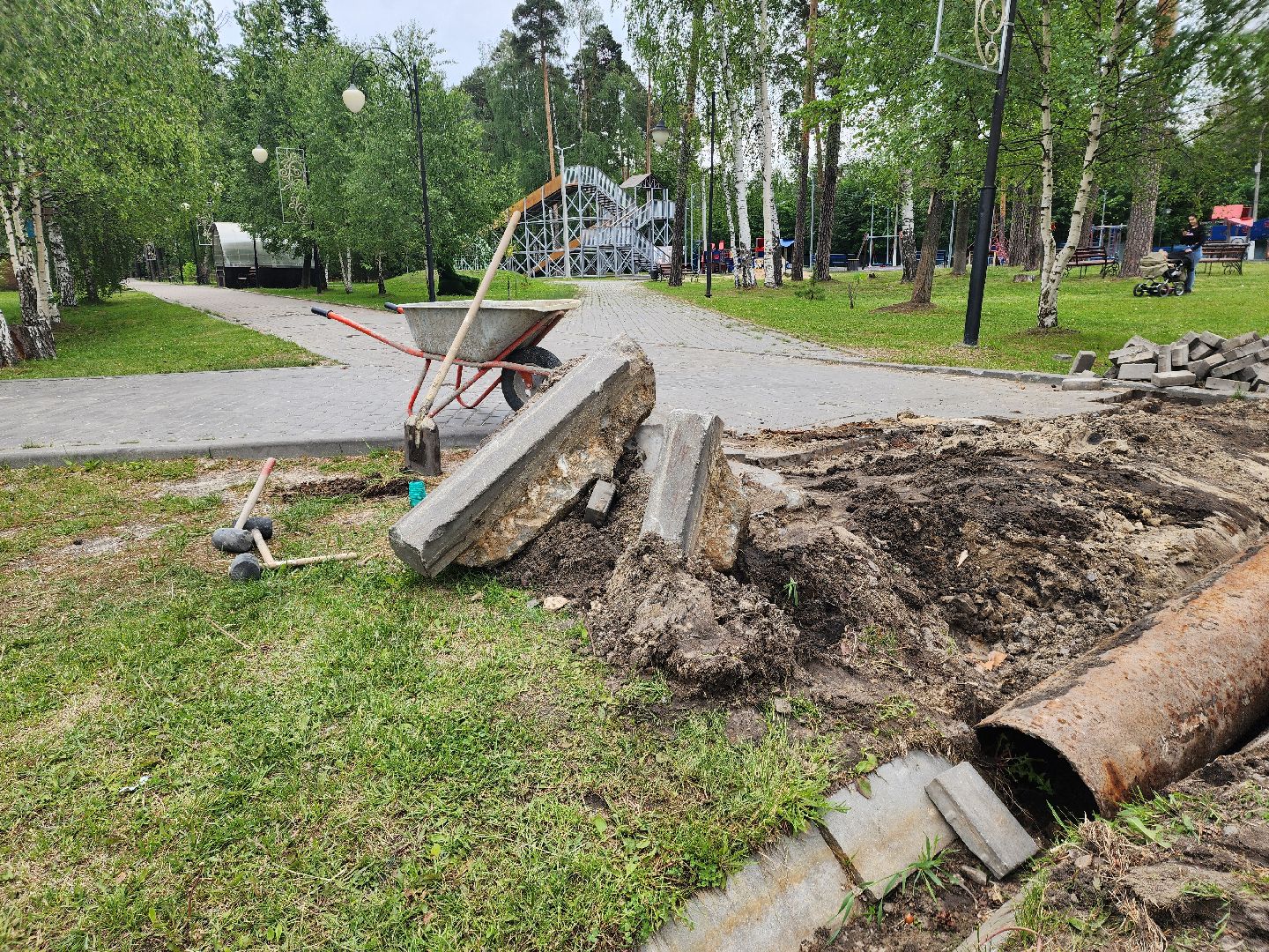 благоустройство 2025, шатура, шатурский парк, активный отдых, отдых в подмосковье, парки подмосковья, дирекция парков,