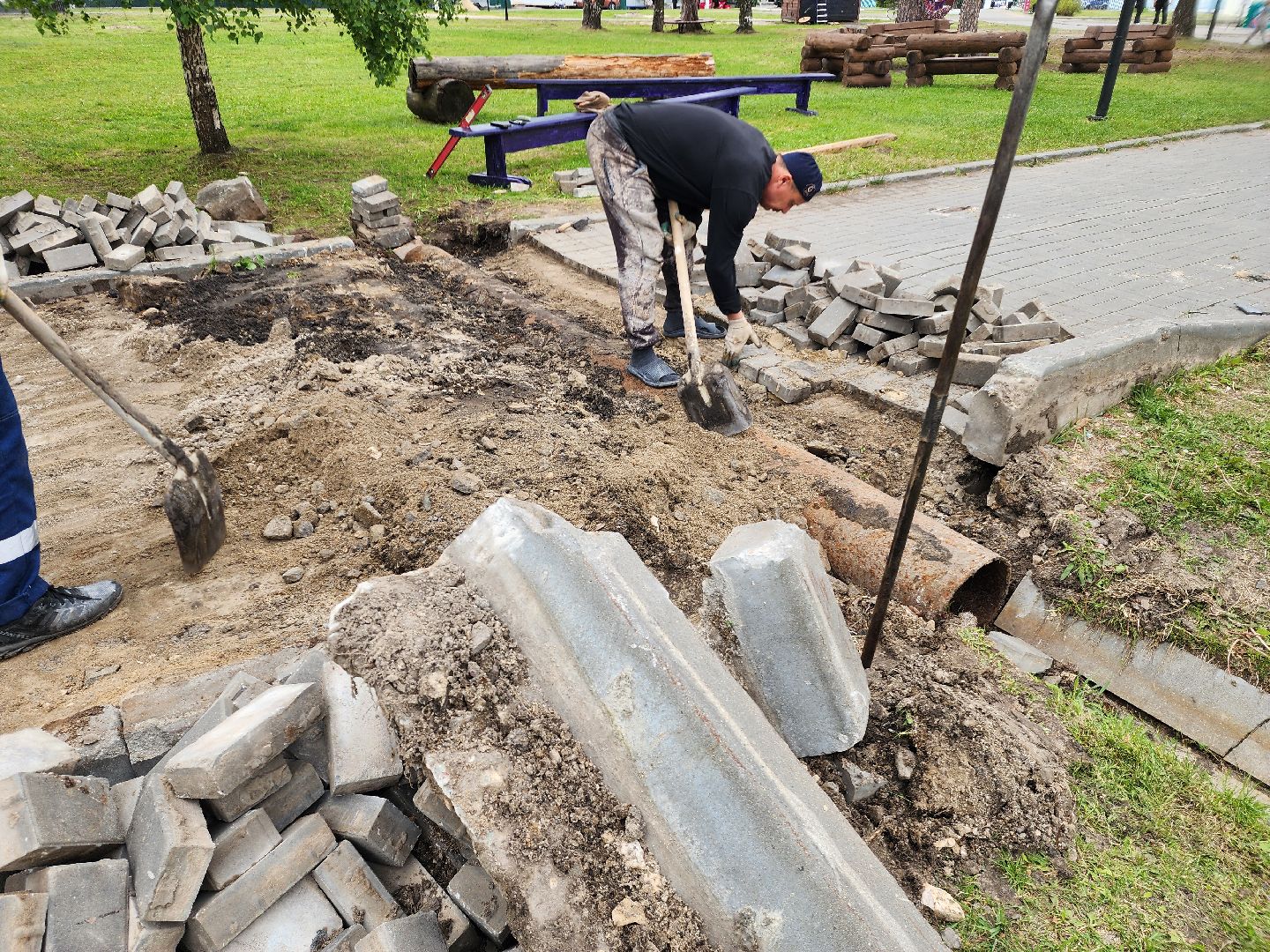 благоустройство 2025, шатура, шатурский парк, активный отдых, отдых в подмосковье, парки подмосковья, дирекция парков,