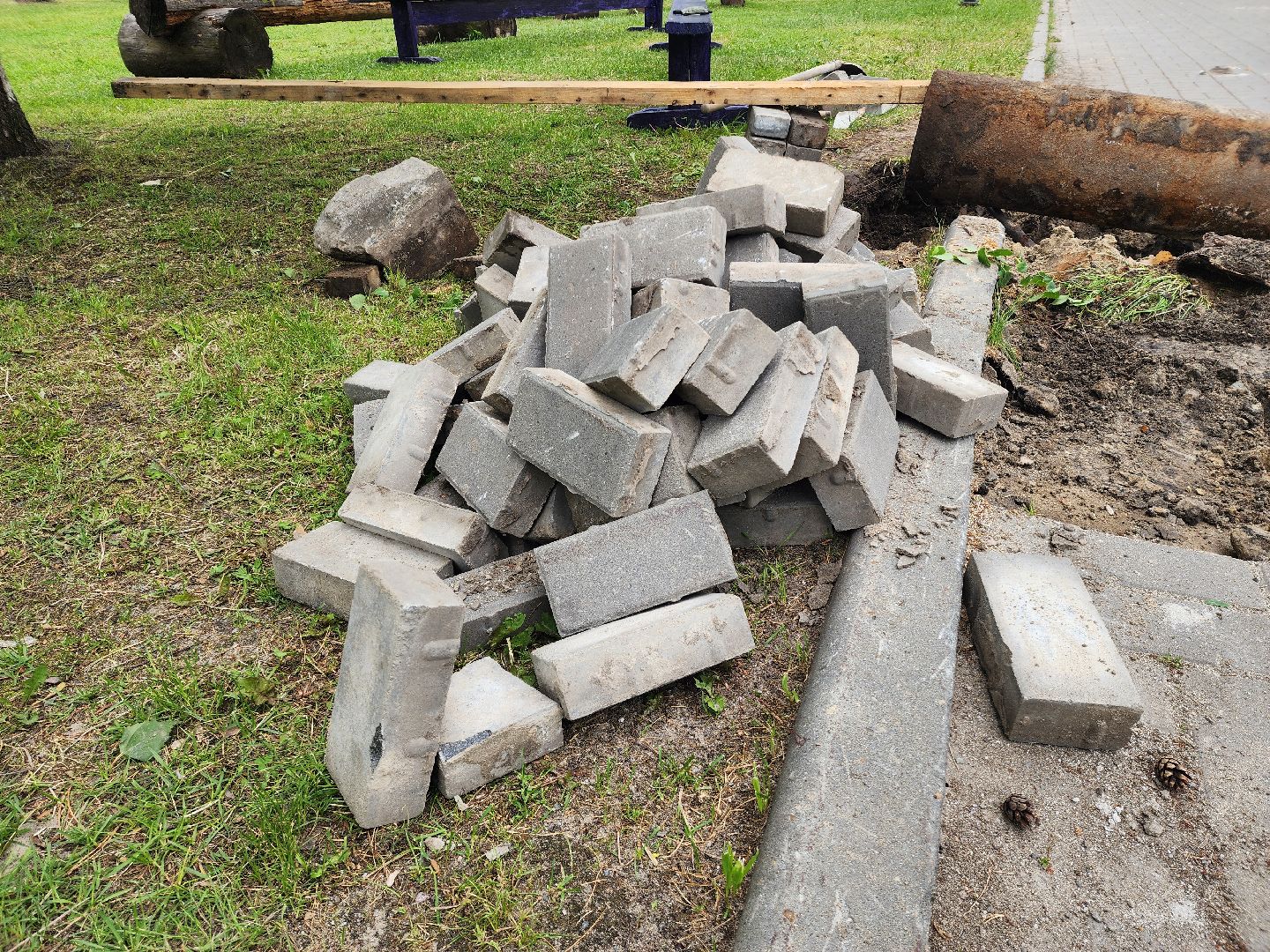 благоустройство 2025, шатура, шатурский парк, активный отдых, отдых в подмосковье, парки подмосковья, дирекция парков,