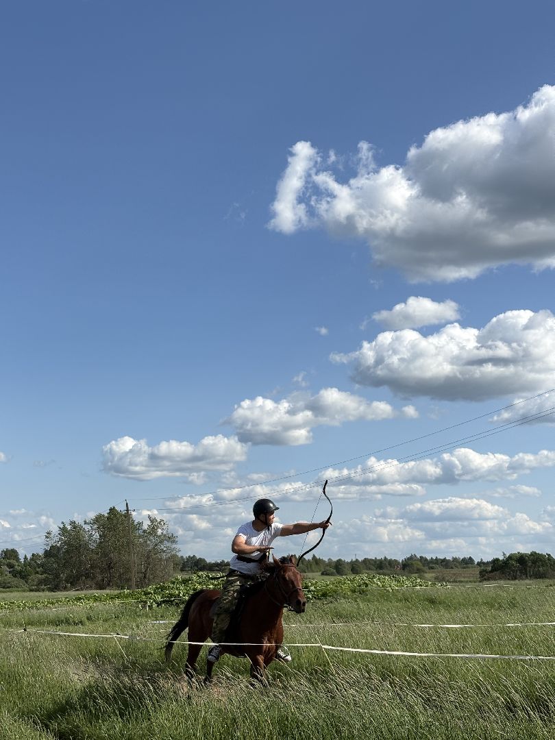 шаховская, турнир, кони, лучники,