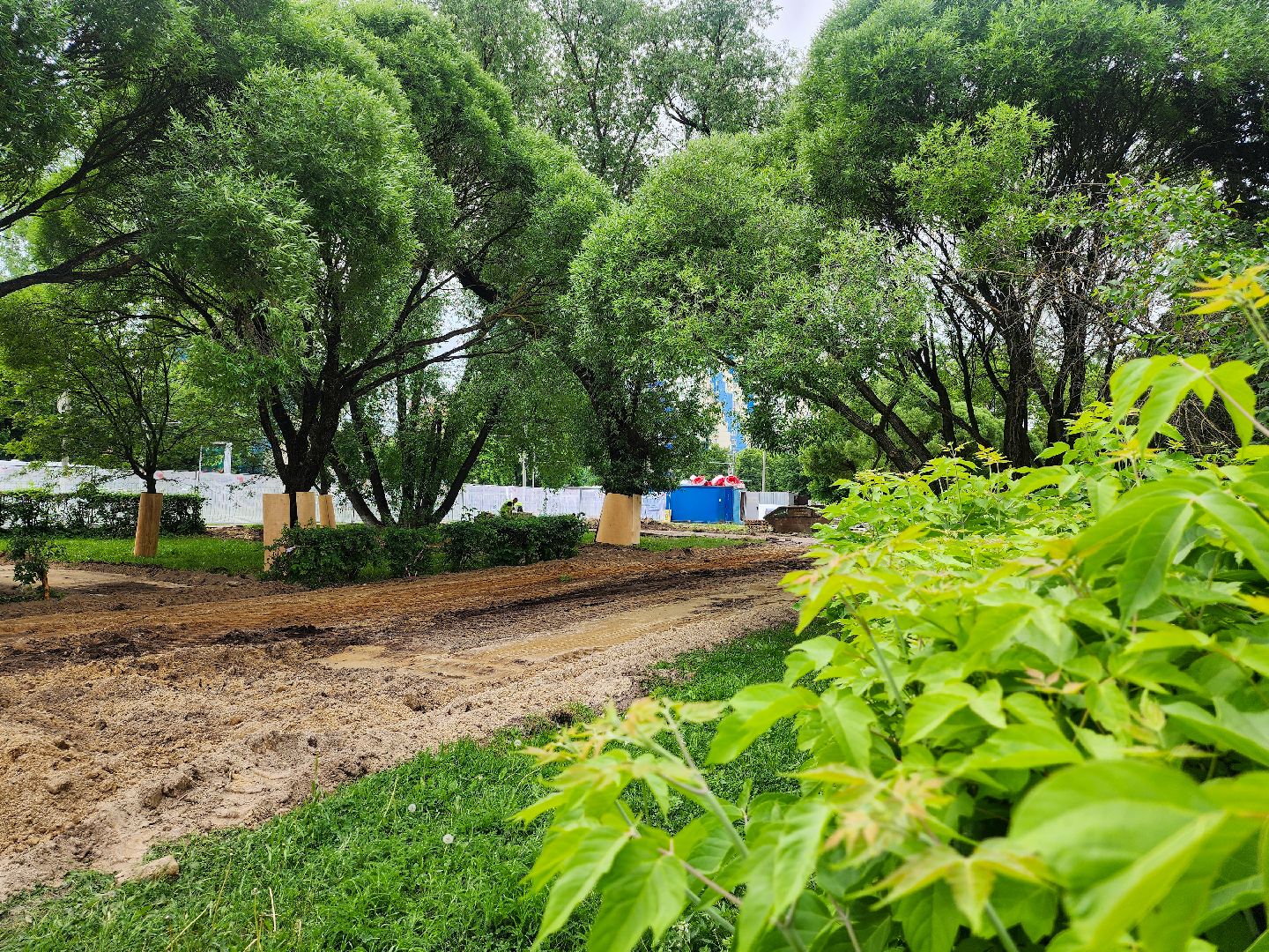 Подольск,Благоустройство, Сквер имени Пушкина,