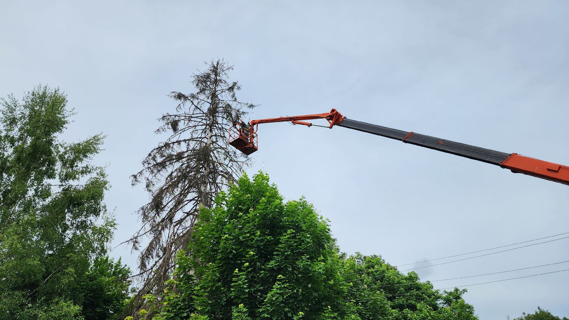 истра, добродел, благоустройство,