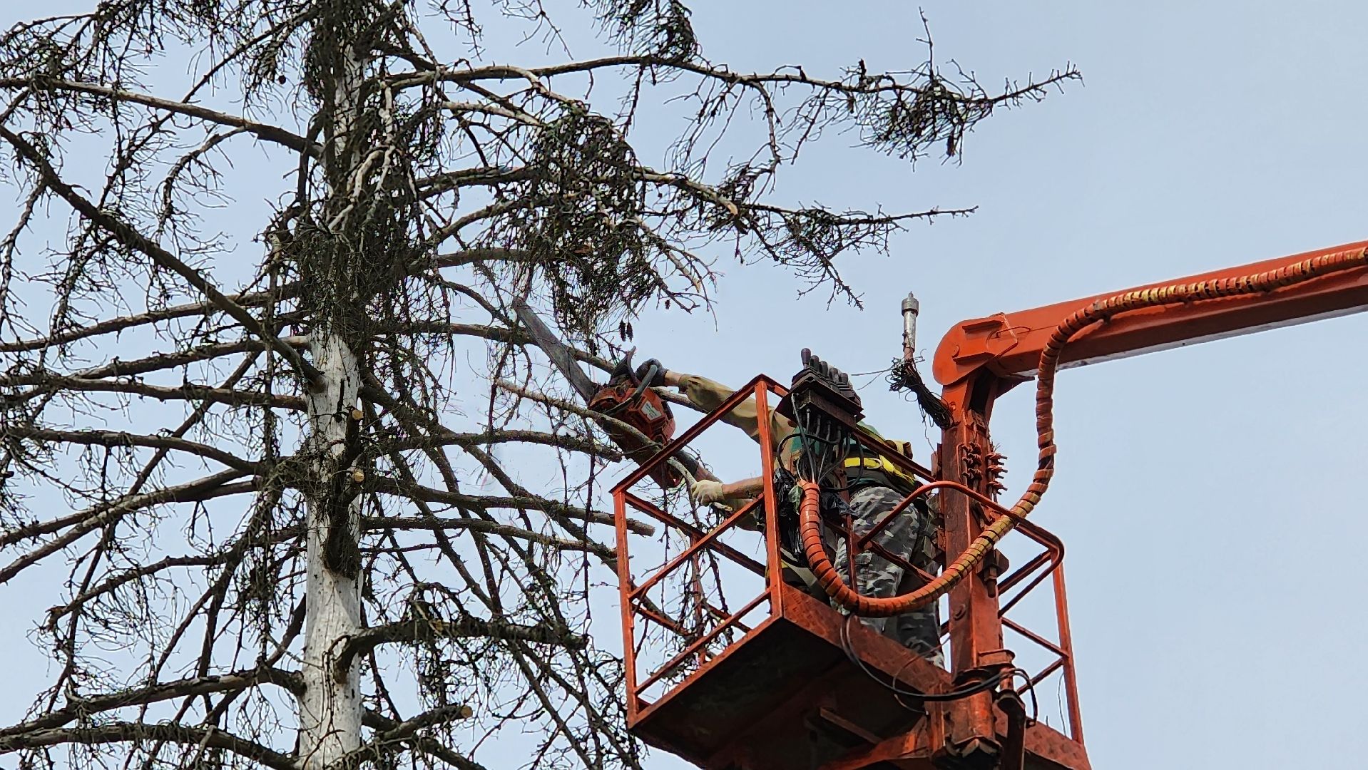 истра, добродел, благоустройство,