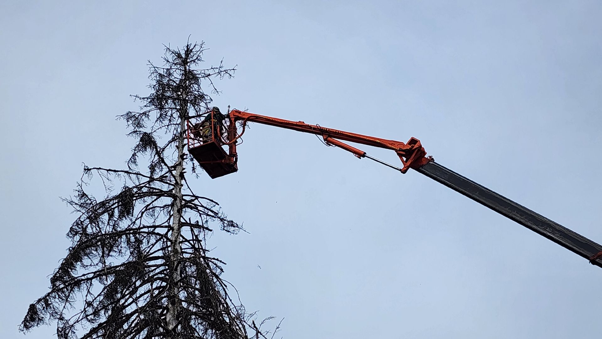 истра, добродел, благоустройство,