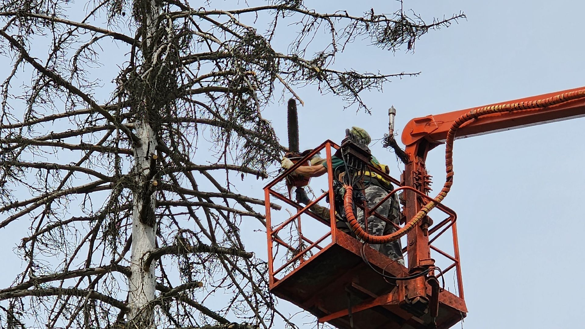 истра, добродел, благоустройство,