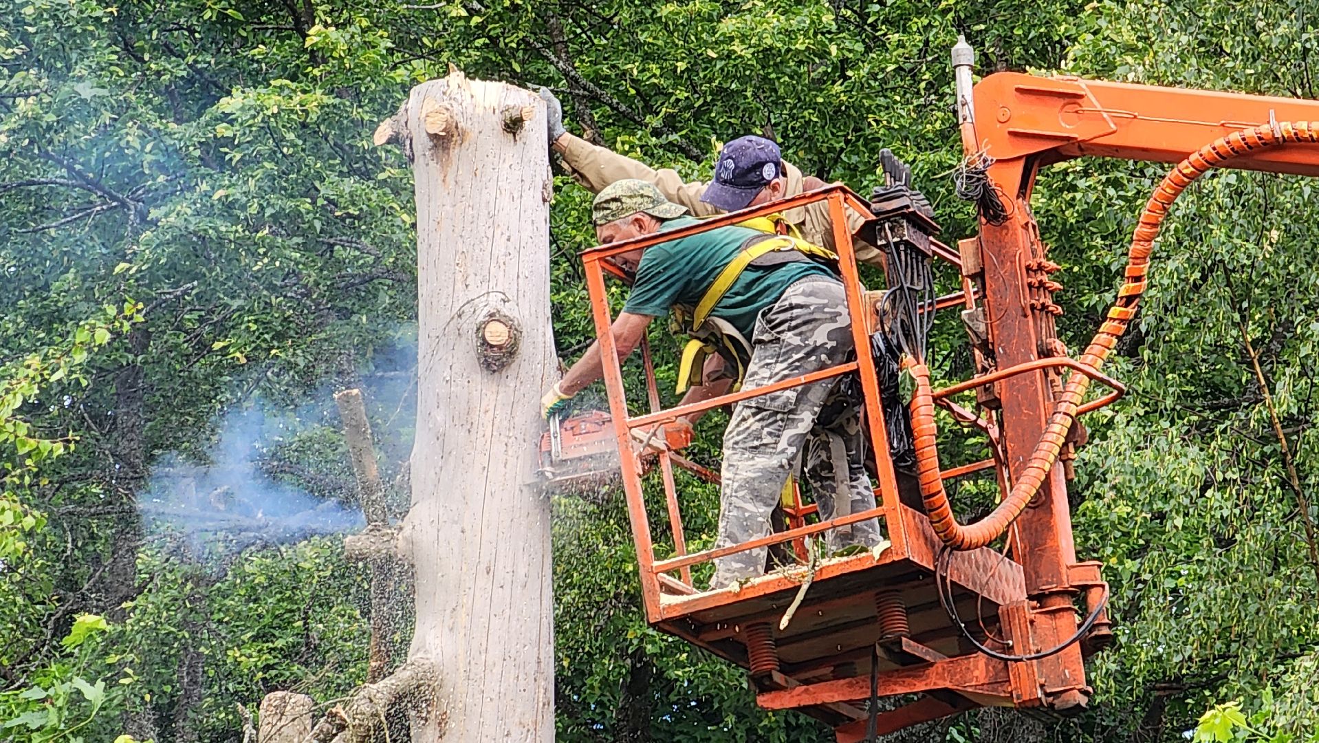 истра, добродел, благоустройство,