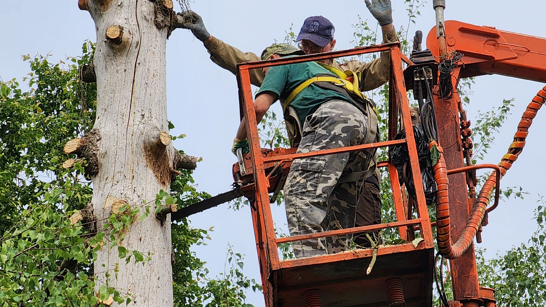 истра, добродел, благоустройство,