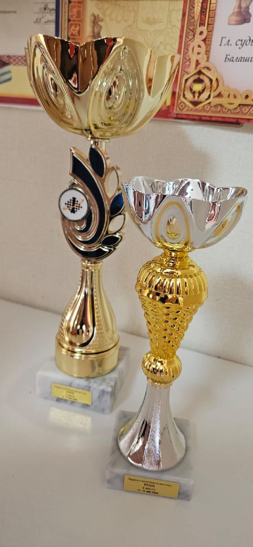 шахматы, шахматный турнир, районный дом культуры, ногинск, богородский городской округ,