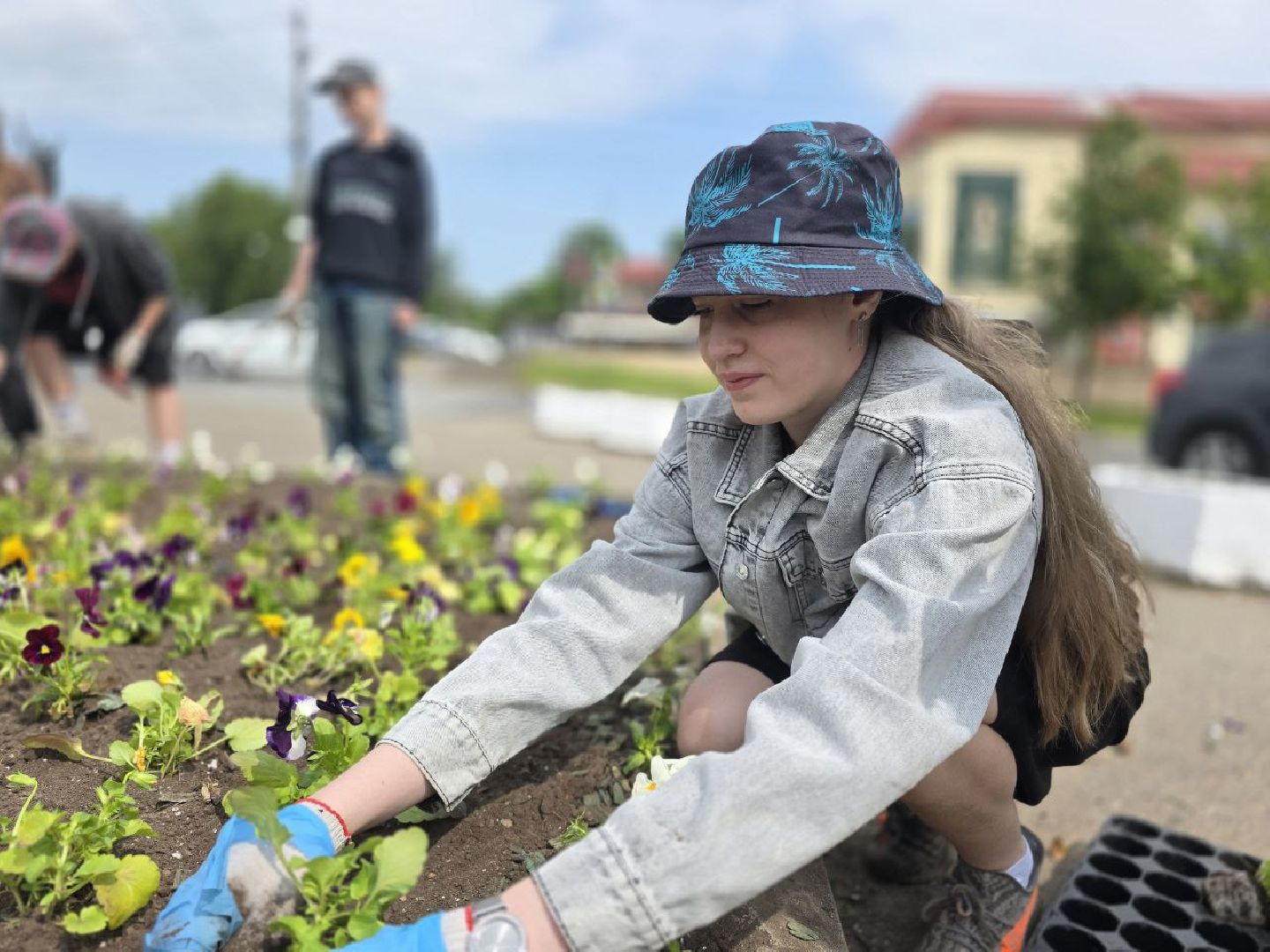 можайск, можайский муниципальный округ, подмосковье, благоустройство, однолетние цветы,