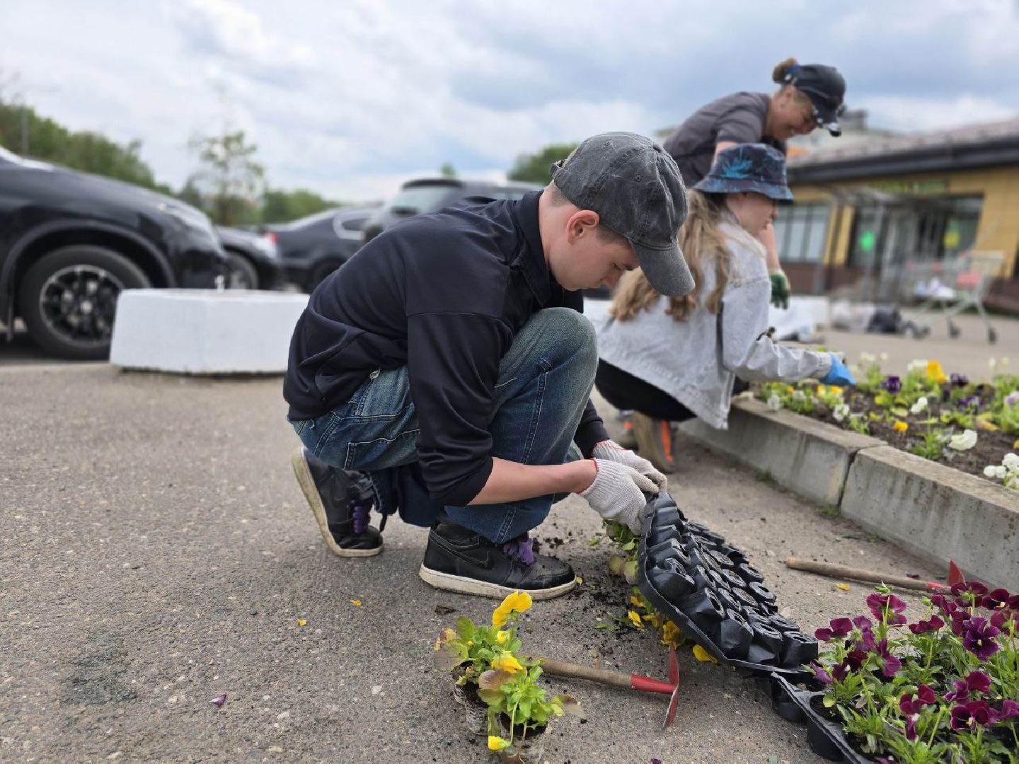 можайск, можайский муниципальный округ, подмосковье, благоустройство, однолетние цветы,