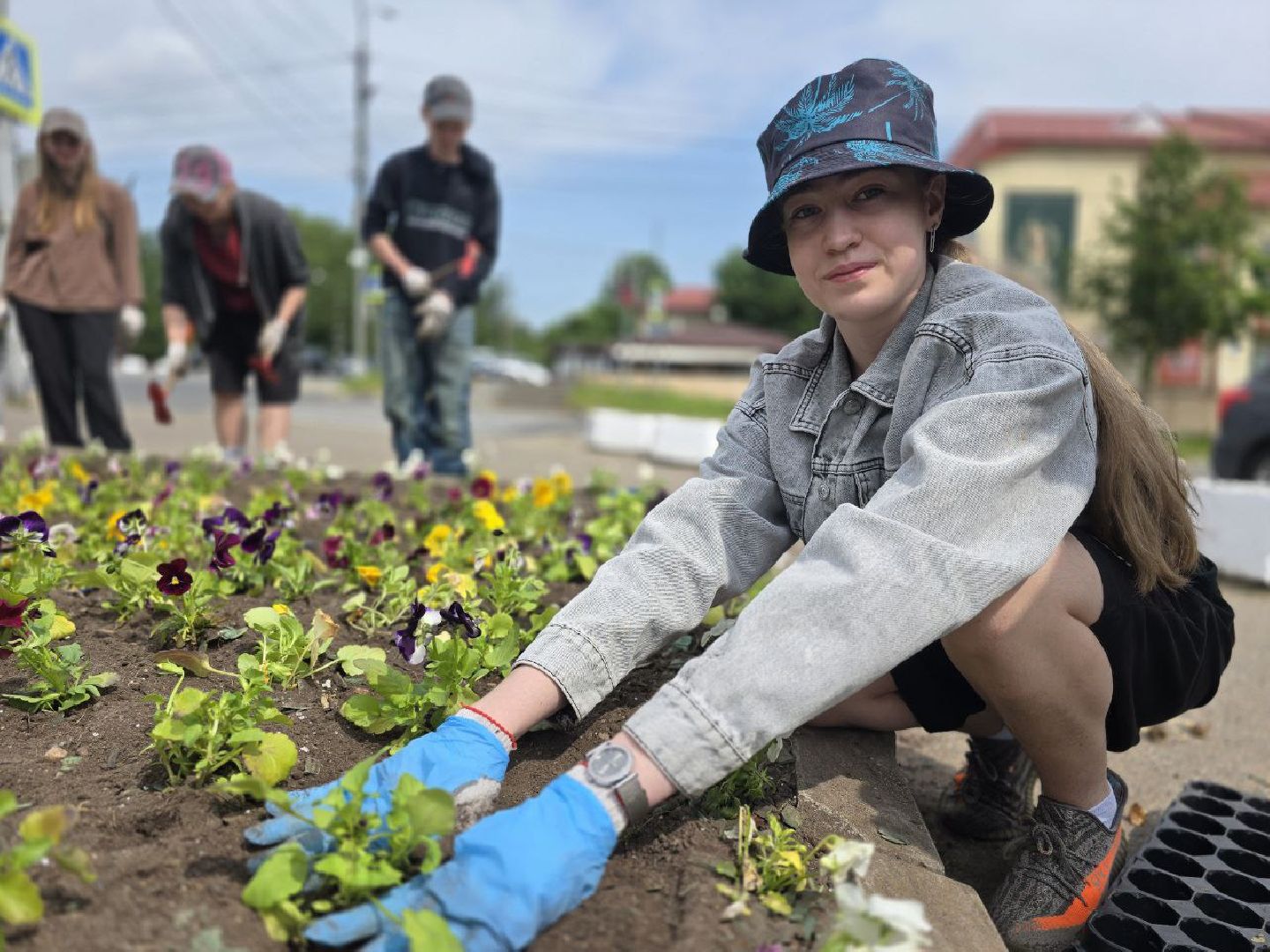 можайск, можайский муниципальный округ, подмосковье, благоустройство, однолетние цветы,