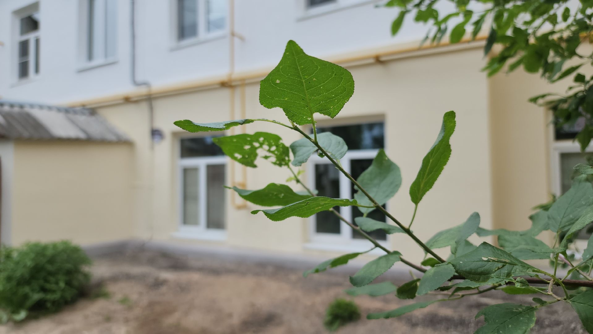 Егорьевск, Подмосковье, Московская область,