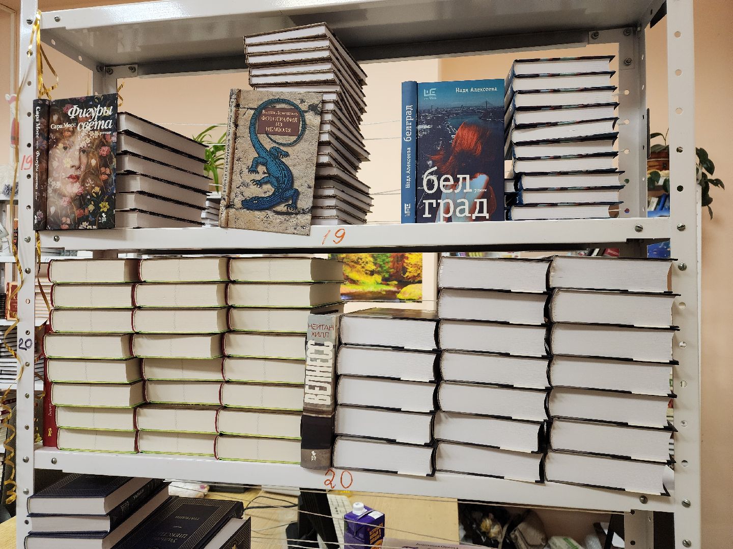 Подольск , библиотека, новые книги,