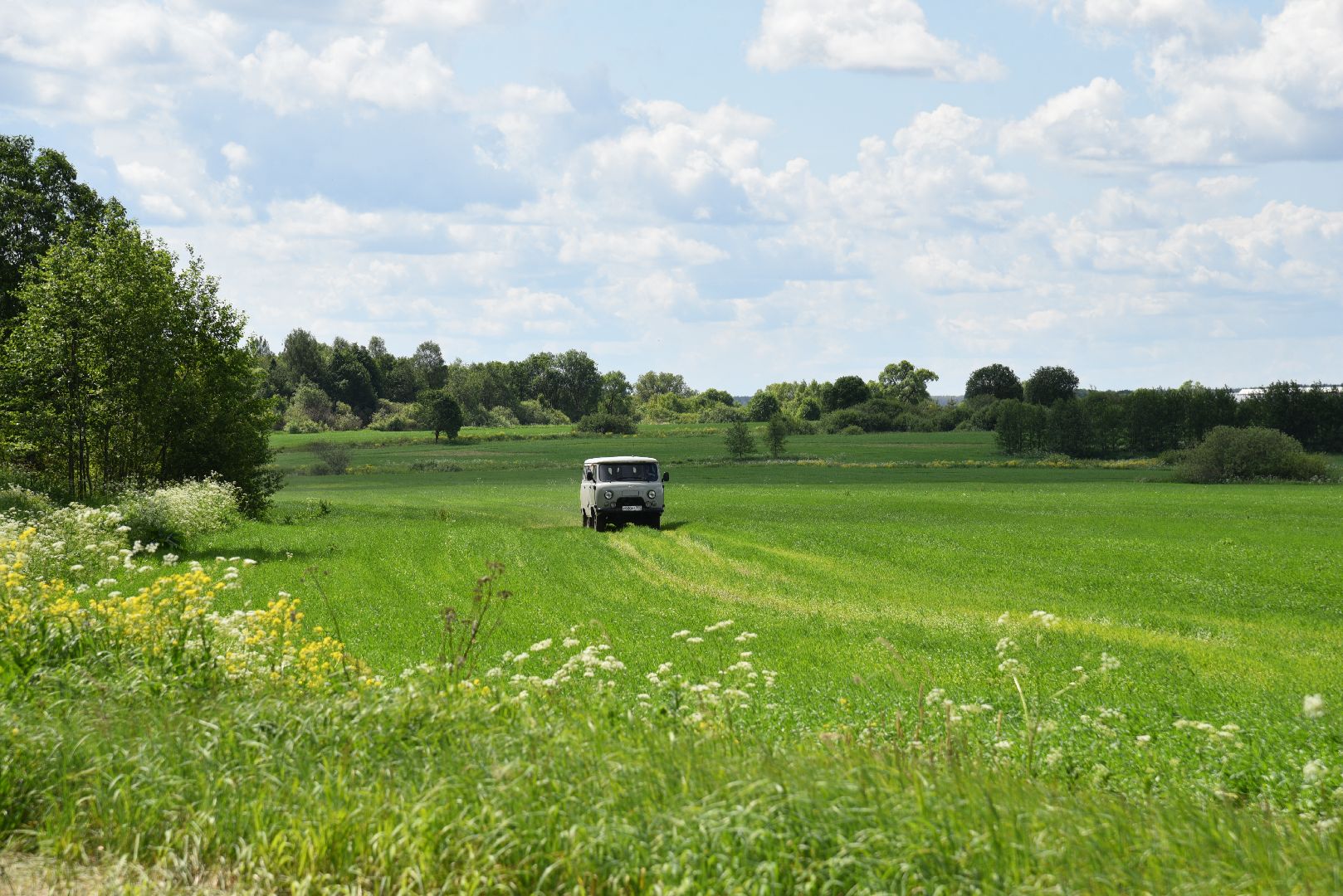 лотошино, сельское хозяйство, посевная, яровой сев,