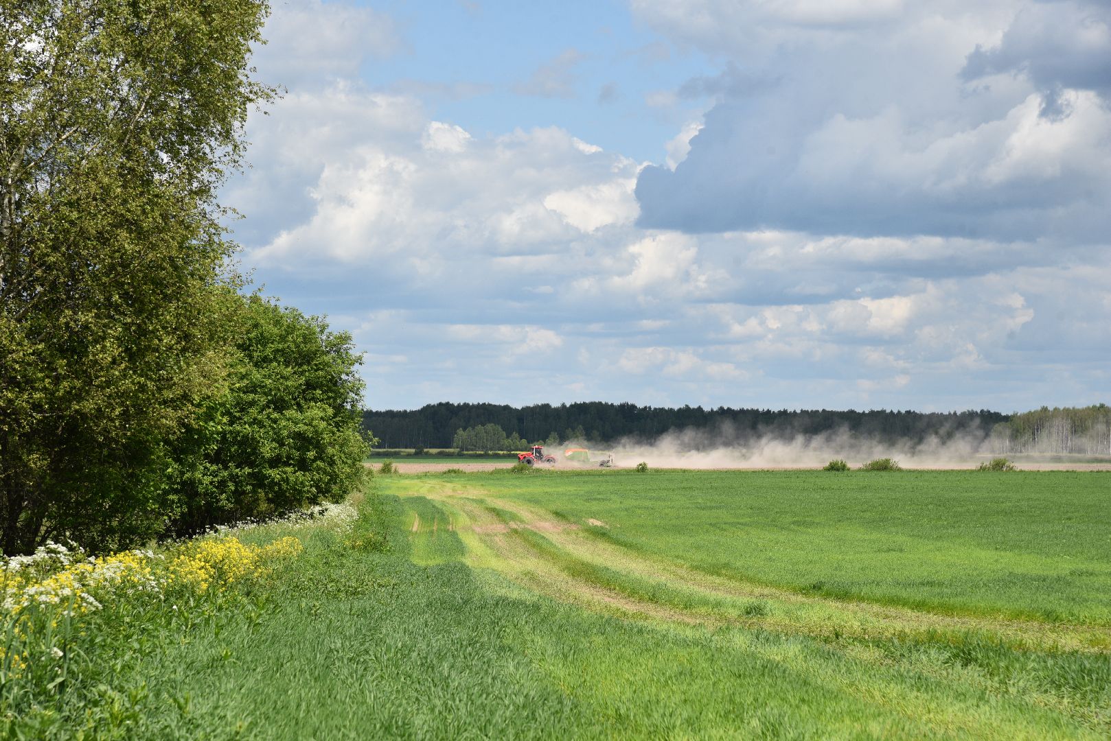 лотошино, сельское хозяйство, посевная, яровой сев,