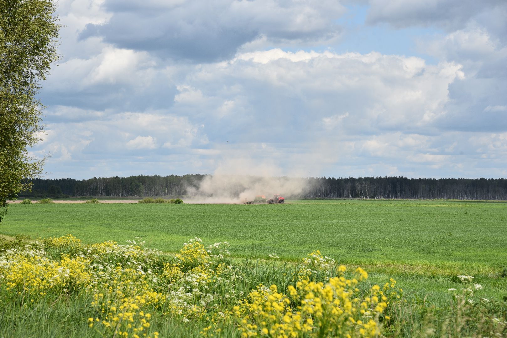 лотошино, сельское хозяйство, посевная, яровой сев,