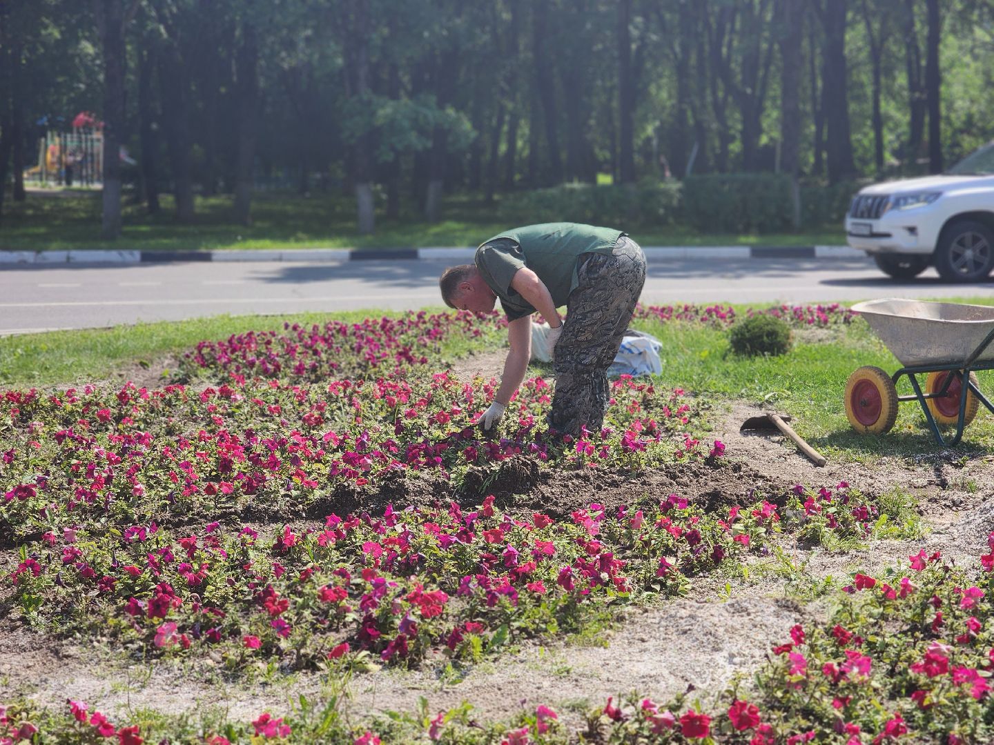 королёв, горзеленхозстрой, благоустройство ,